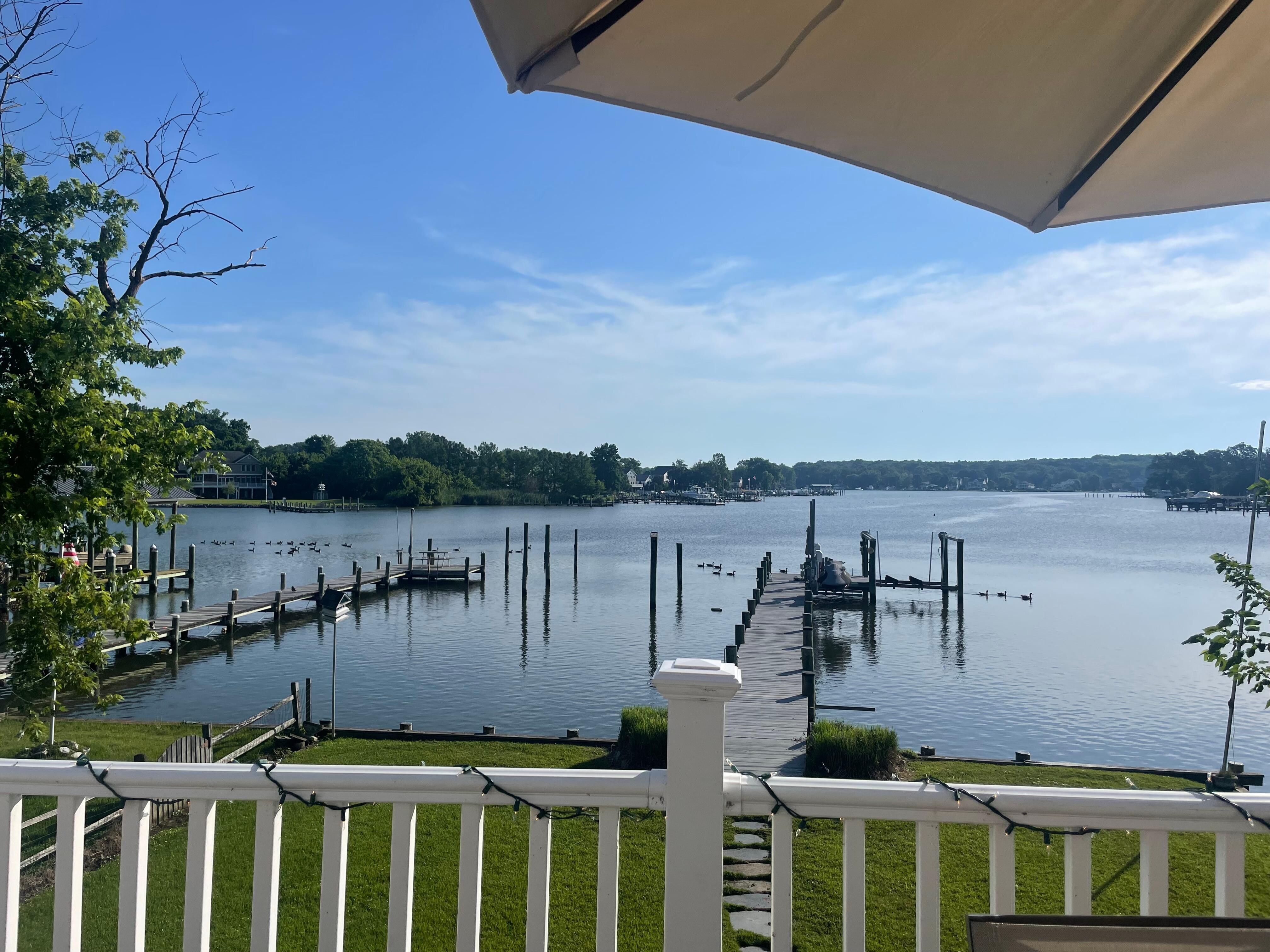 View from back deck