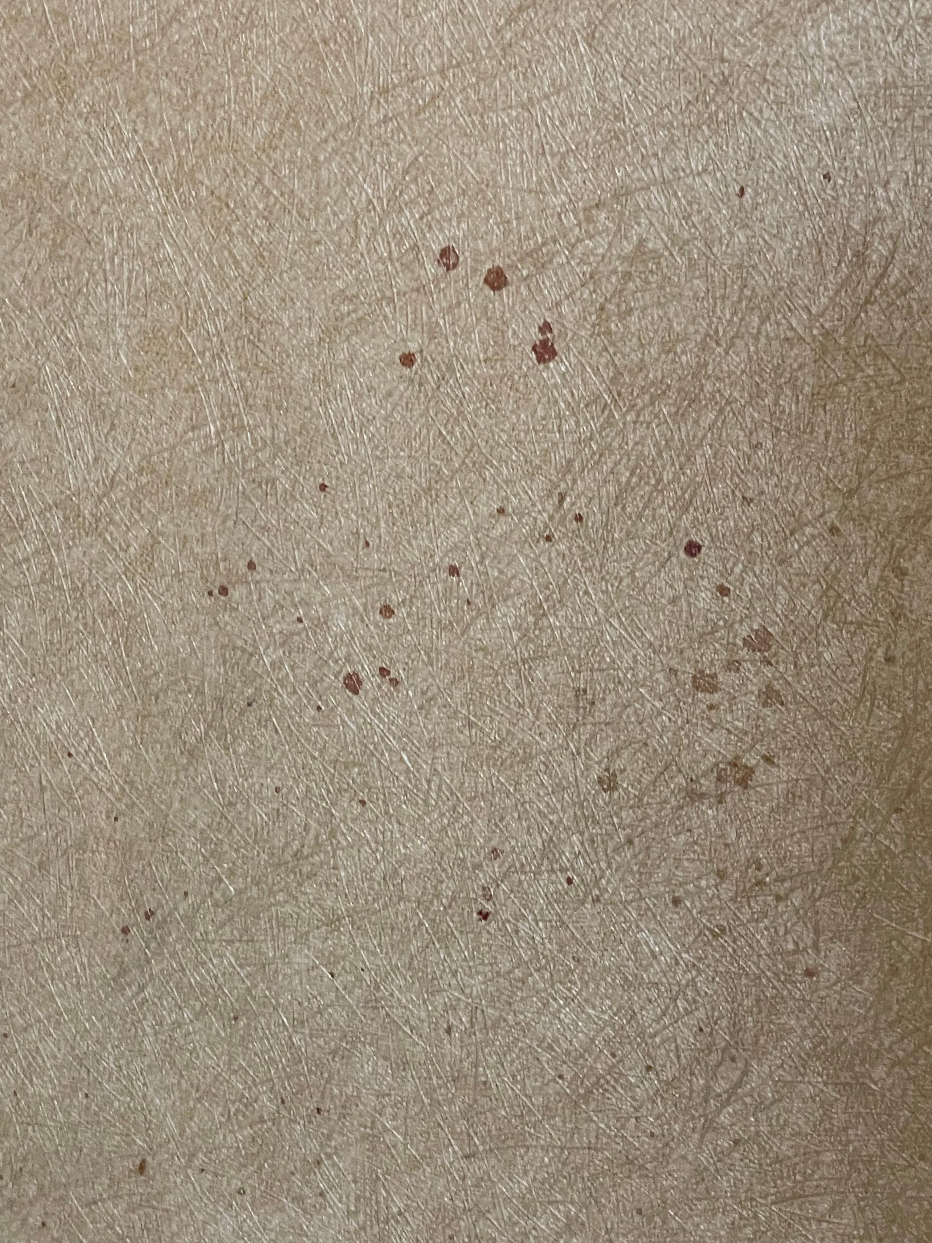 Blood on wall