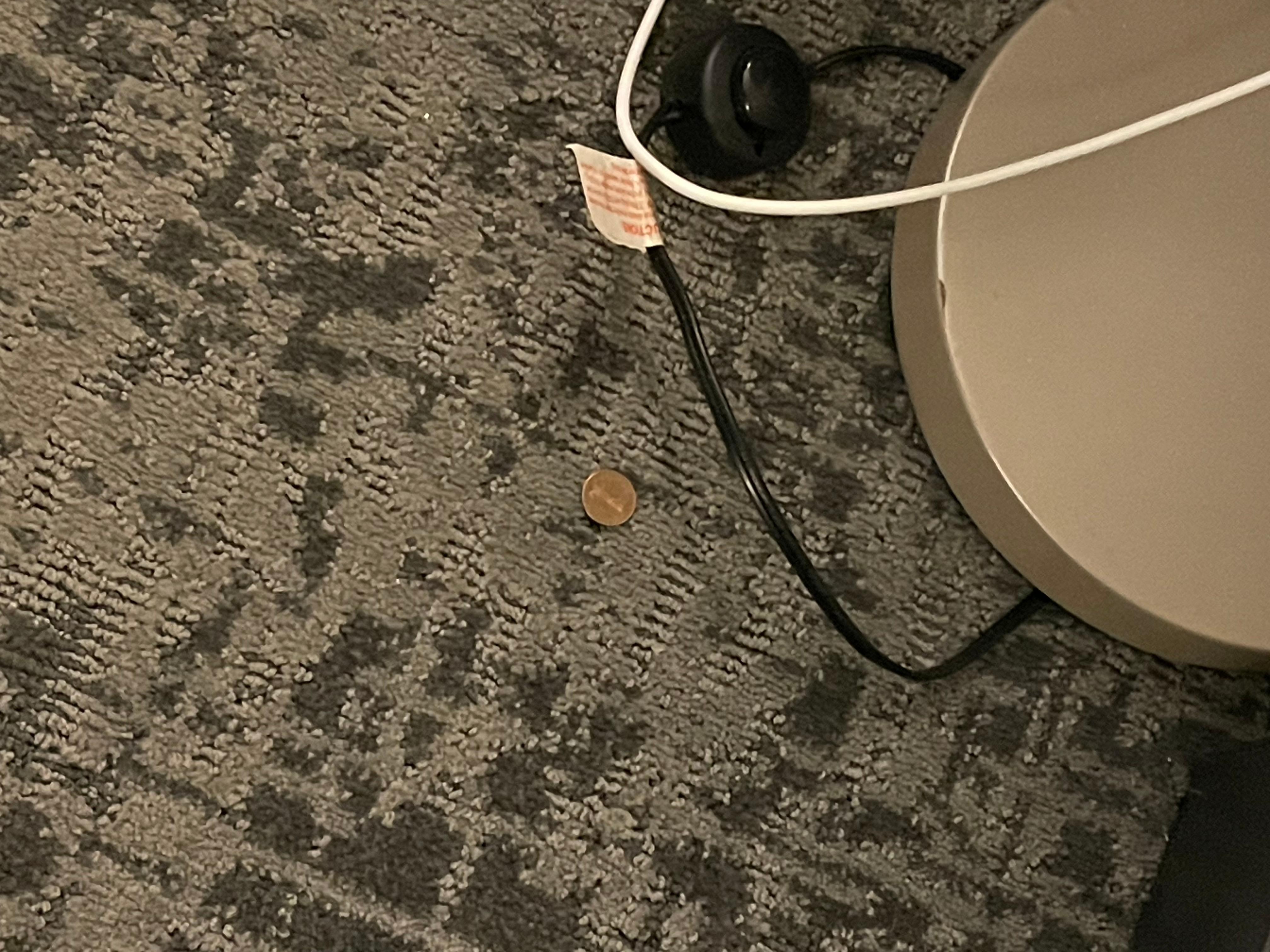 Abraham Lincoln, the penny, greeted us when we checked in & out. 