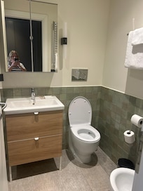 Clean and high End bathroom