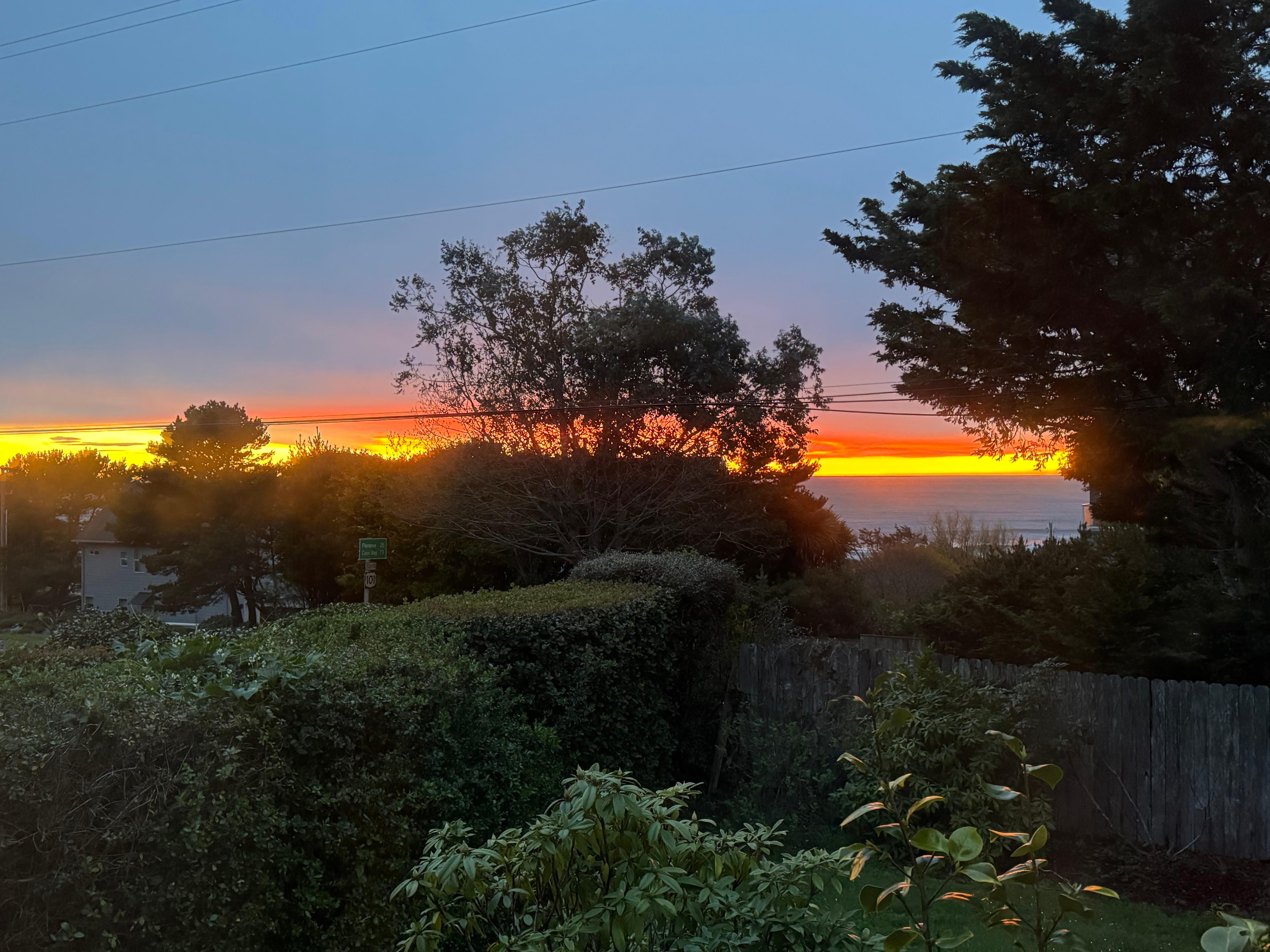 View from the kitchen