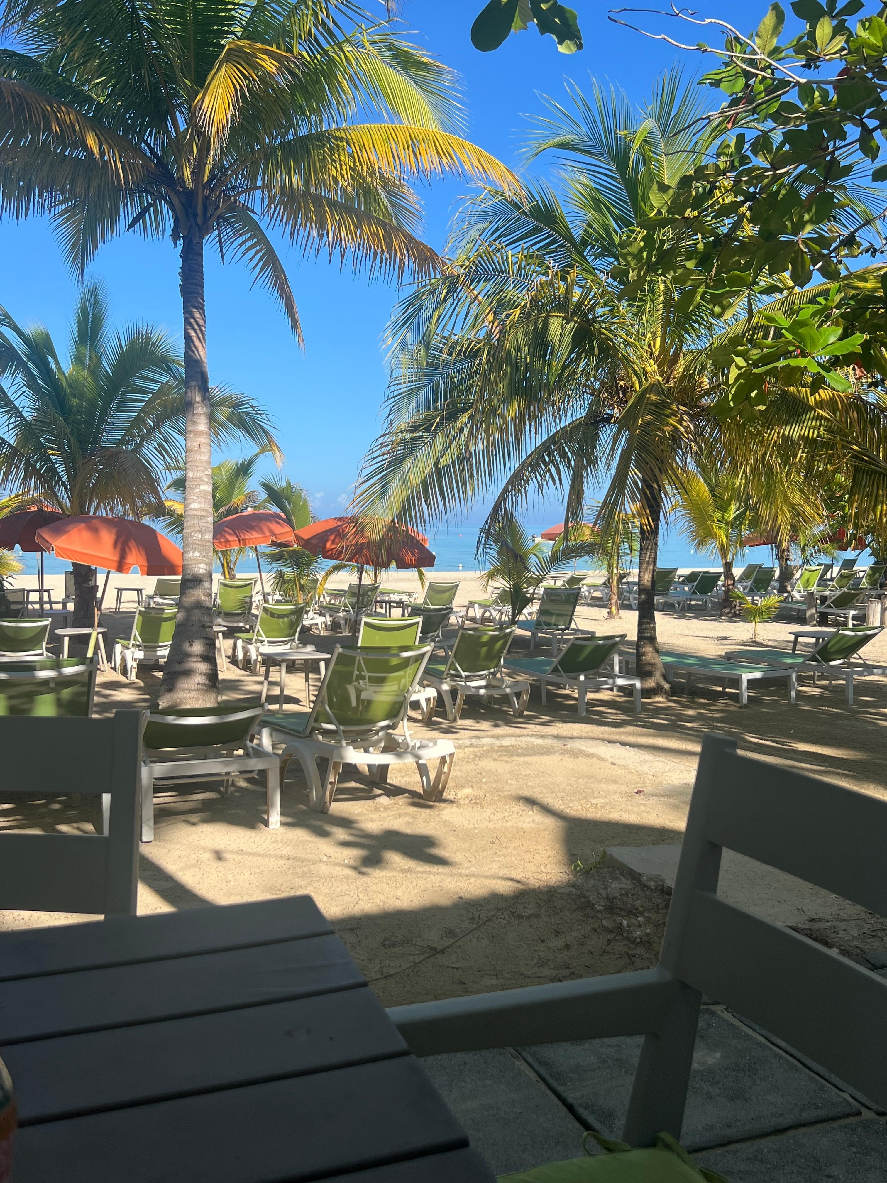 Breakfast with a view!