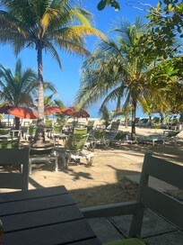 Breakfast with a view!