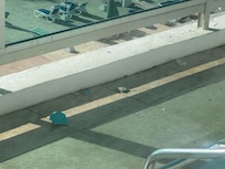 Broken ceiling and pieces of the ceiling on the floor