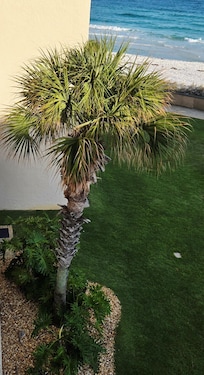 Part of View from unit