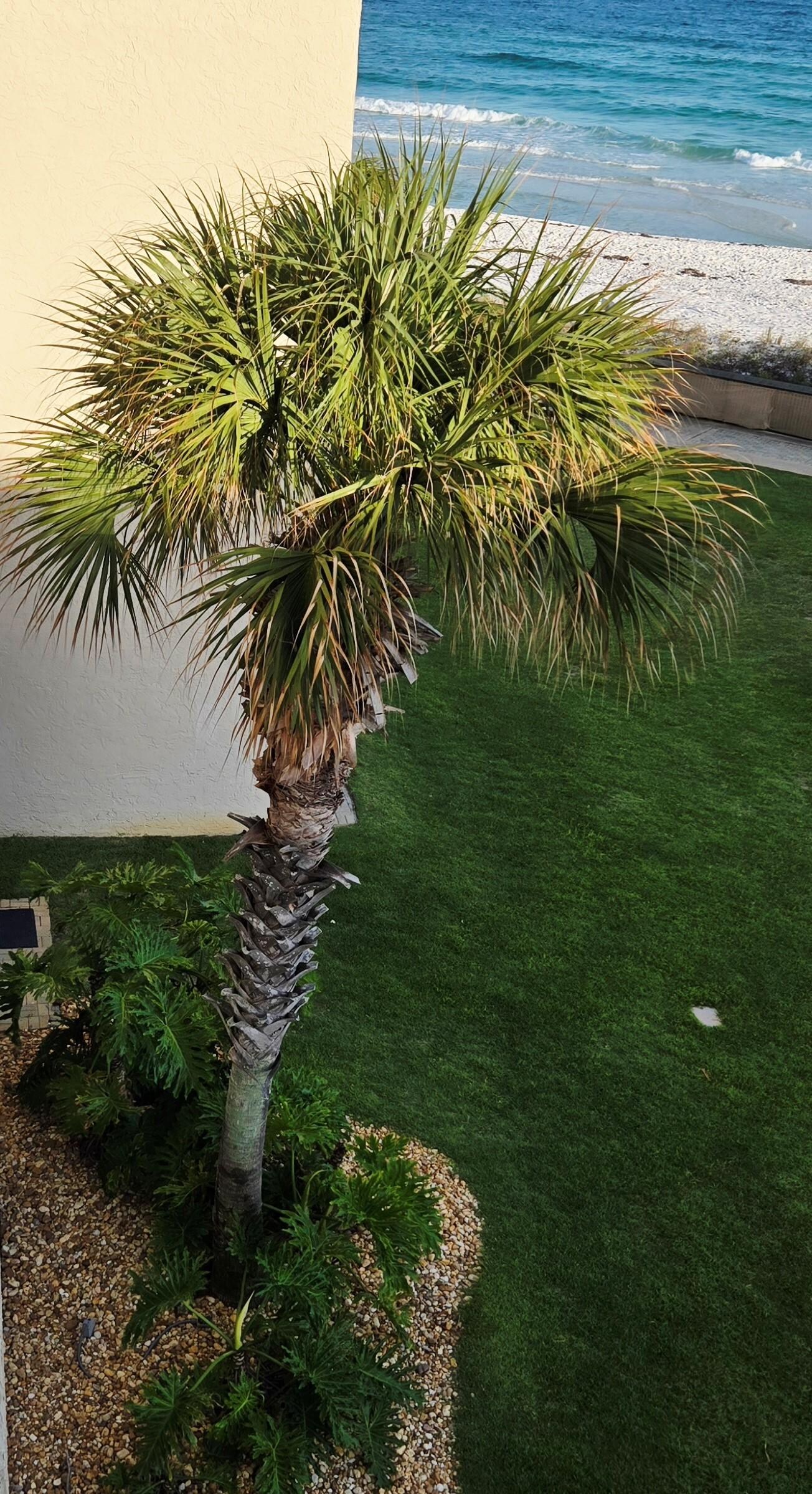 Part of View from unit