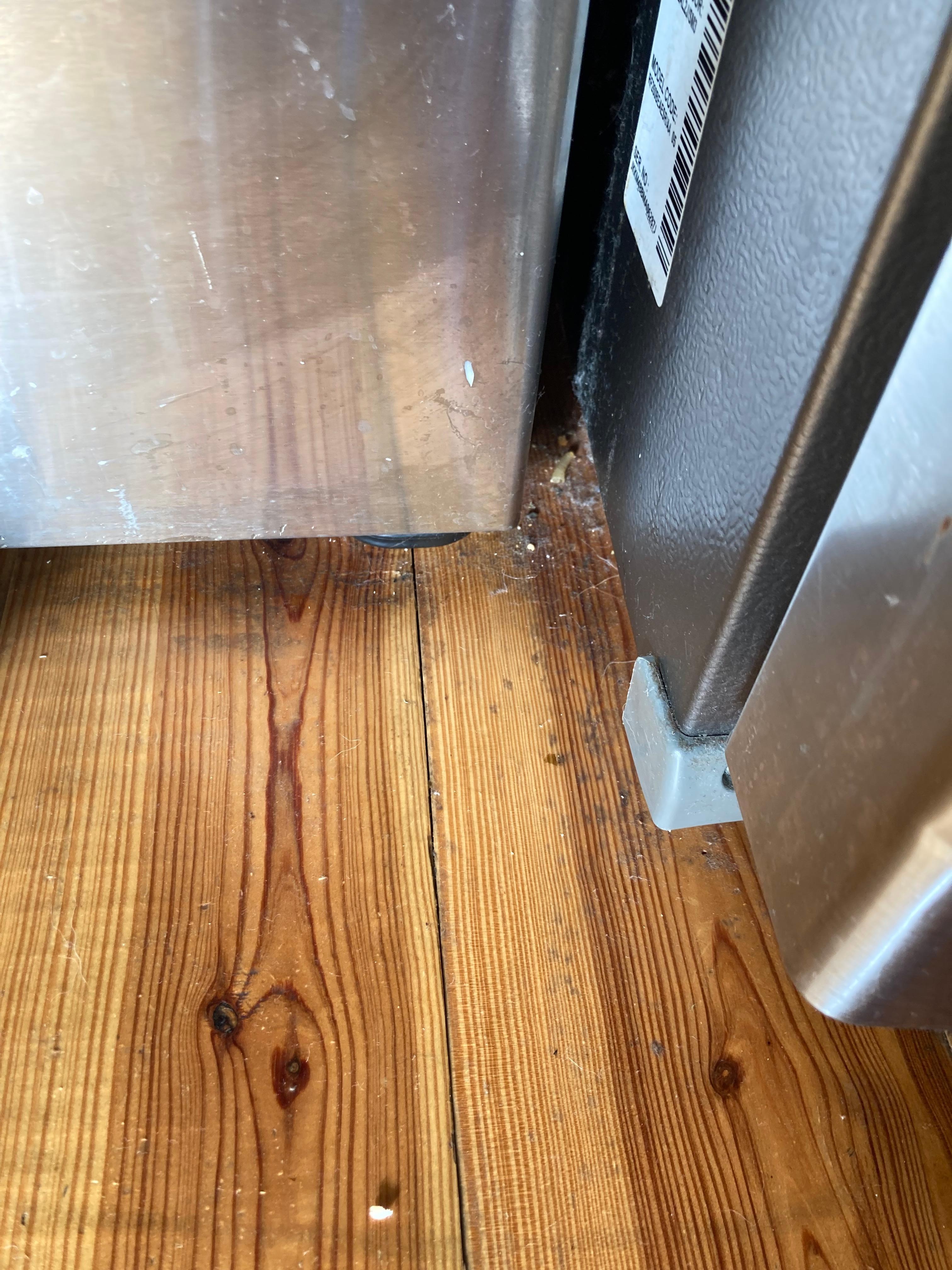 filthy floors and kitchen, kitchen was greasy