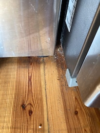 filthy floors and kitchen, kitchen was greasy