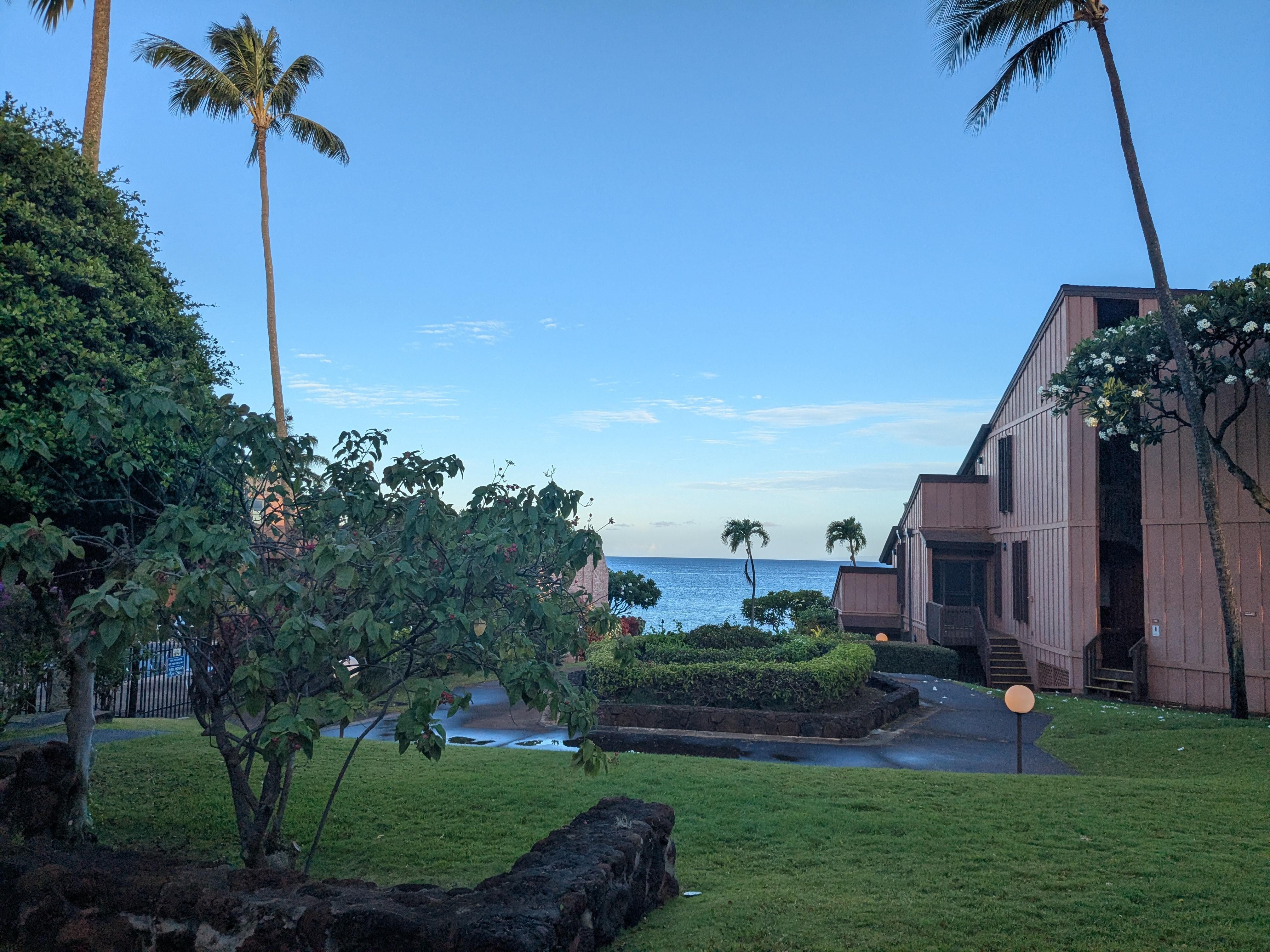 view from the patio 