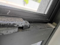 Dead flies and dust
