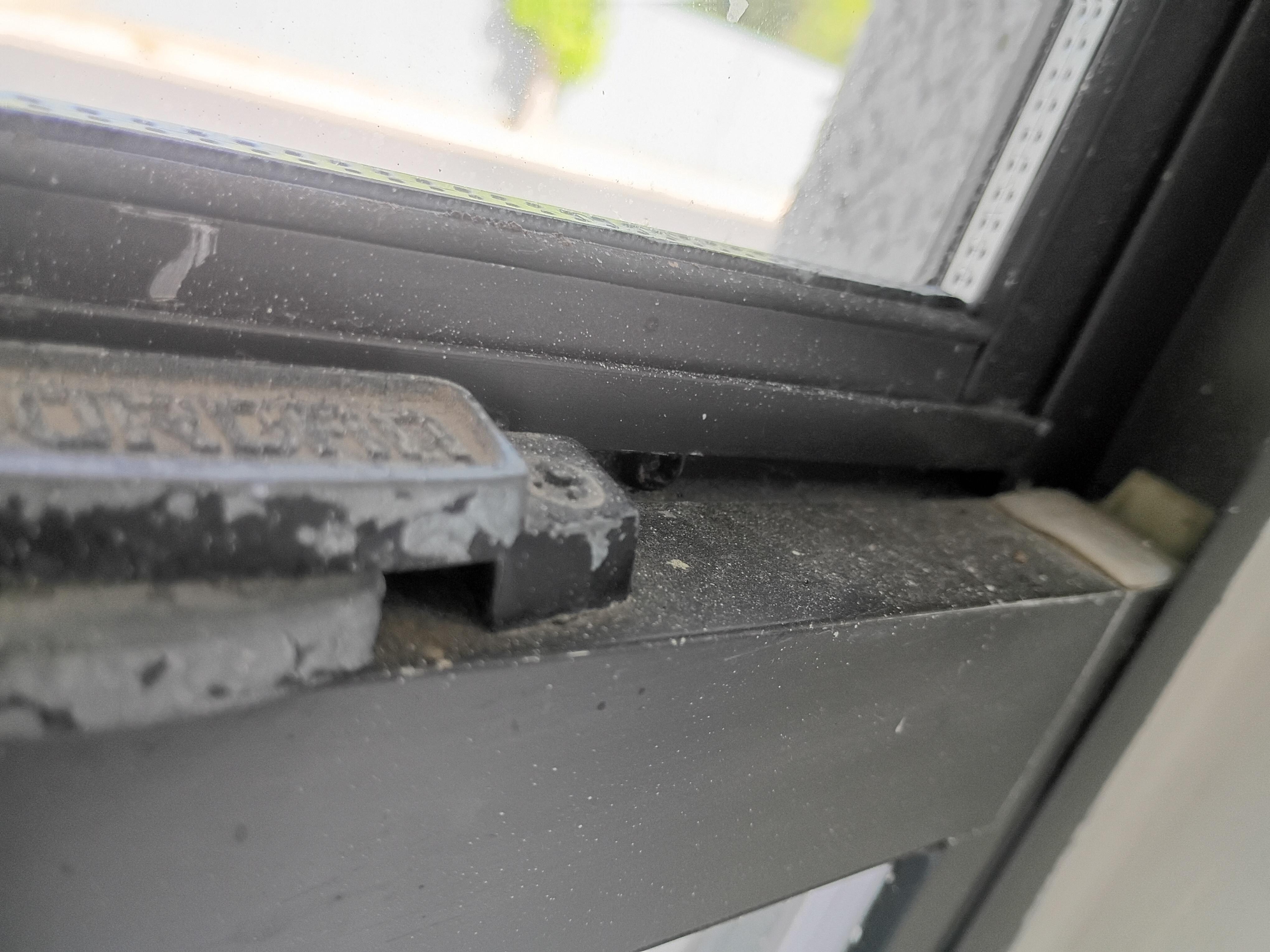 Dead flies and dust