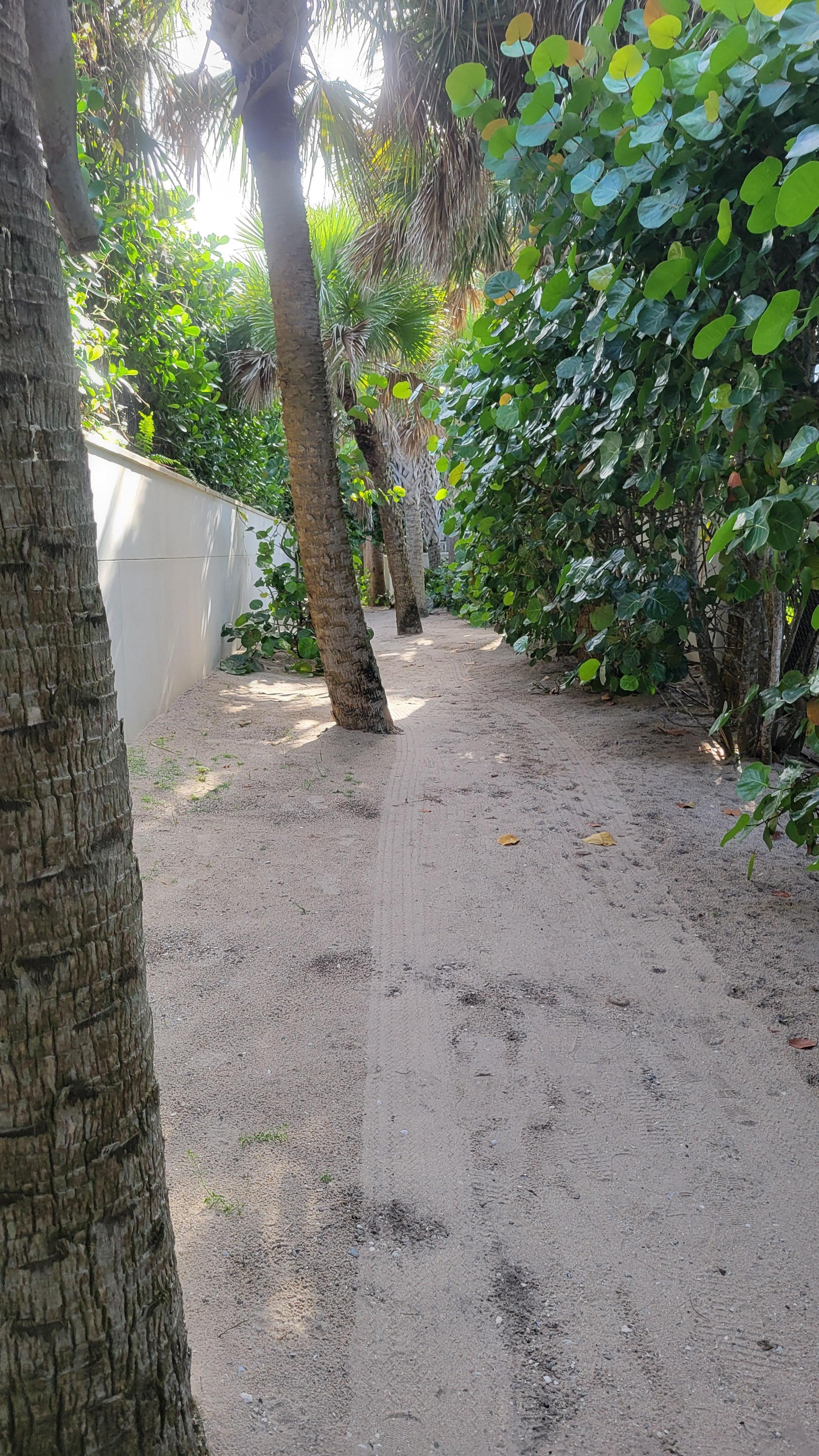 Beach Access Pathway