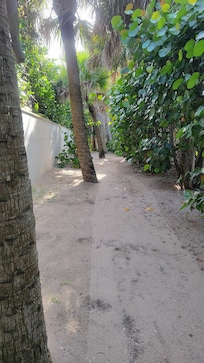 Beach Access Pathway