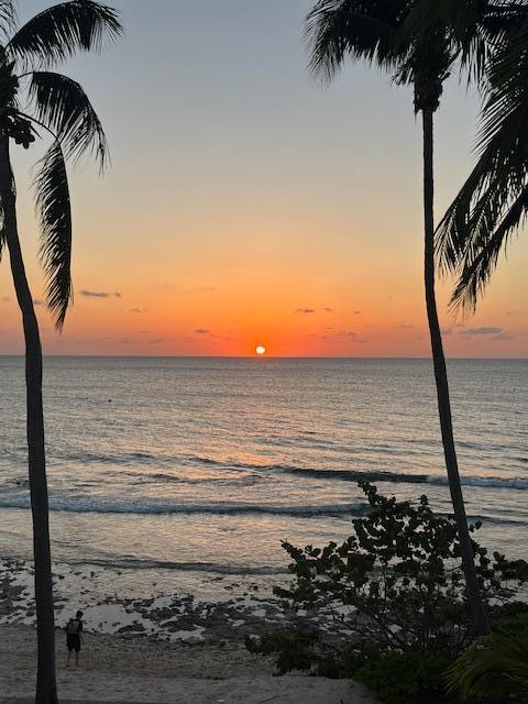 Beautiful sunsets