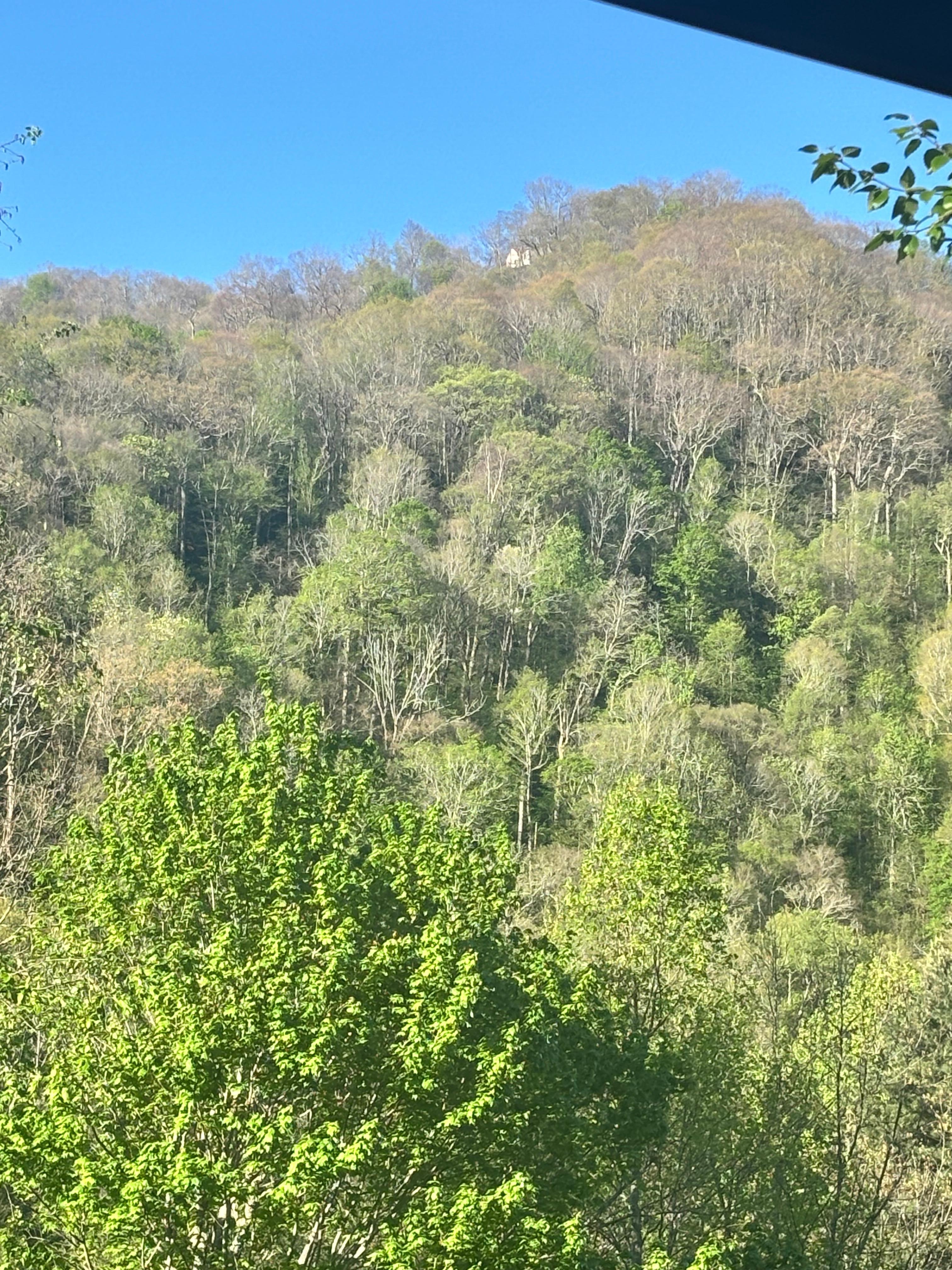 There is a house up there.