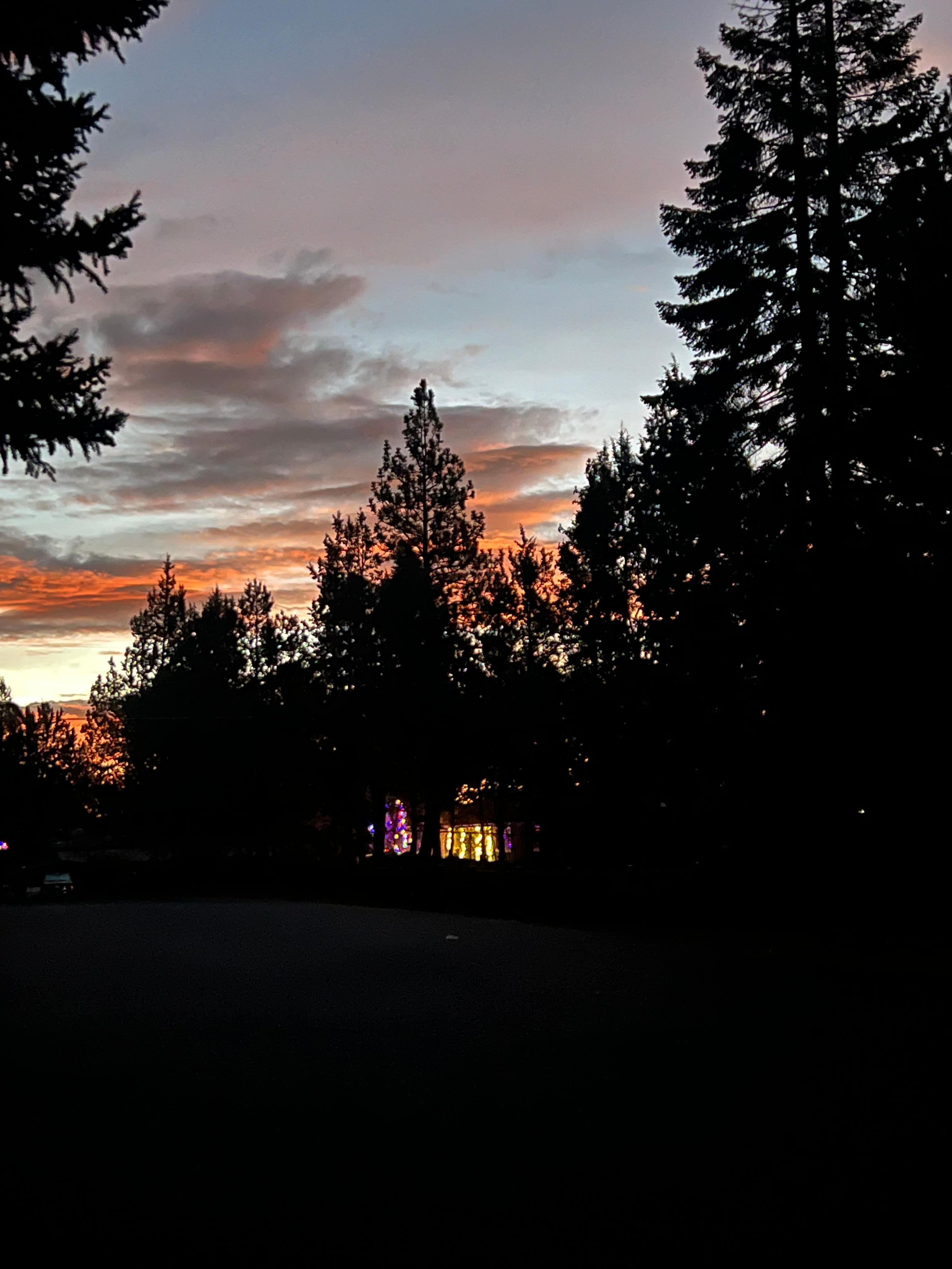 From the street nearby while walking my dogs. 