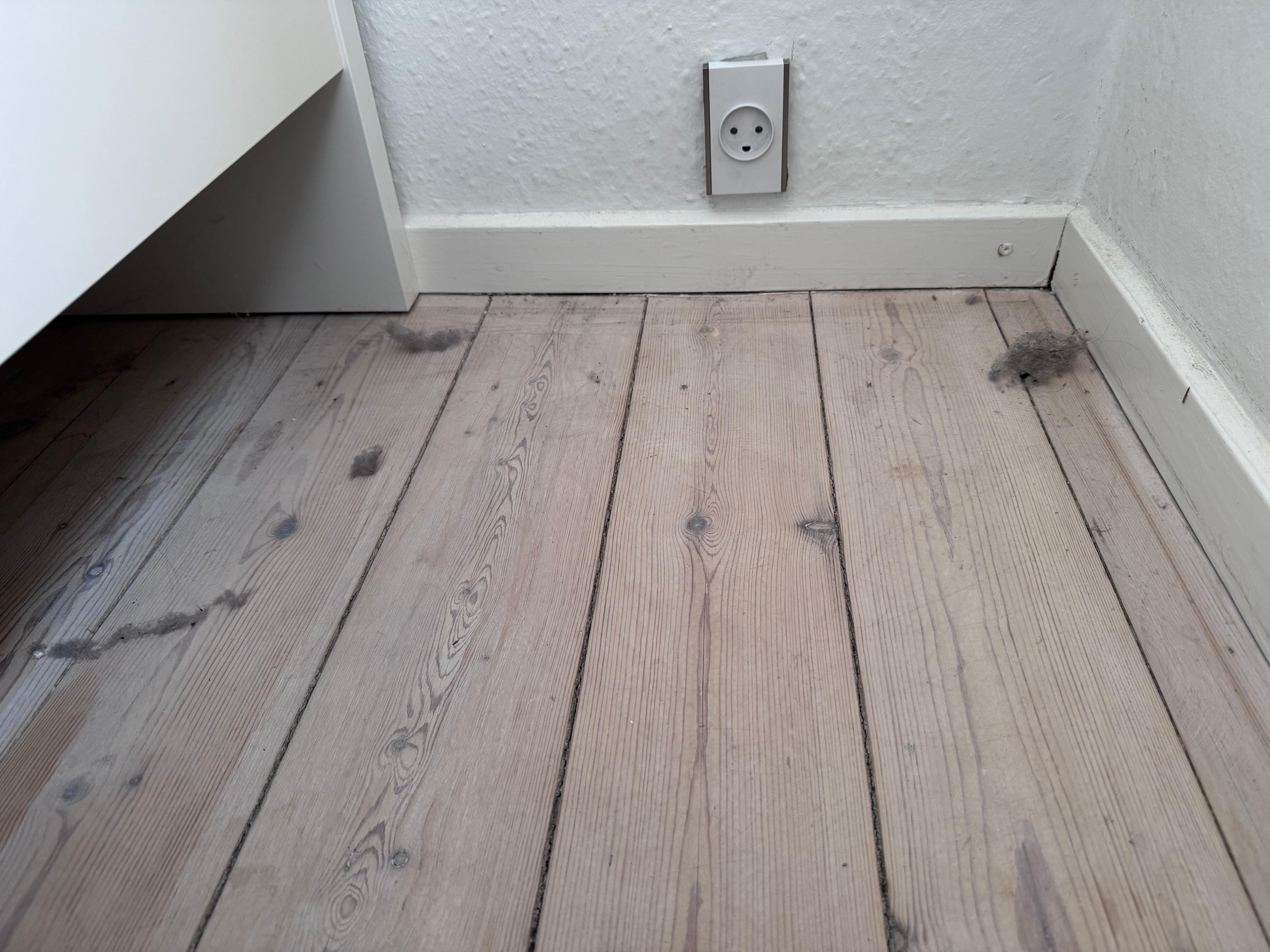 Dust bunnies on the floor