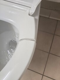 Broken toilet seat
