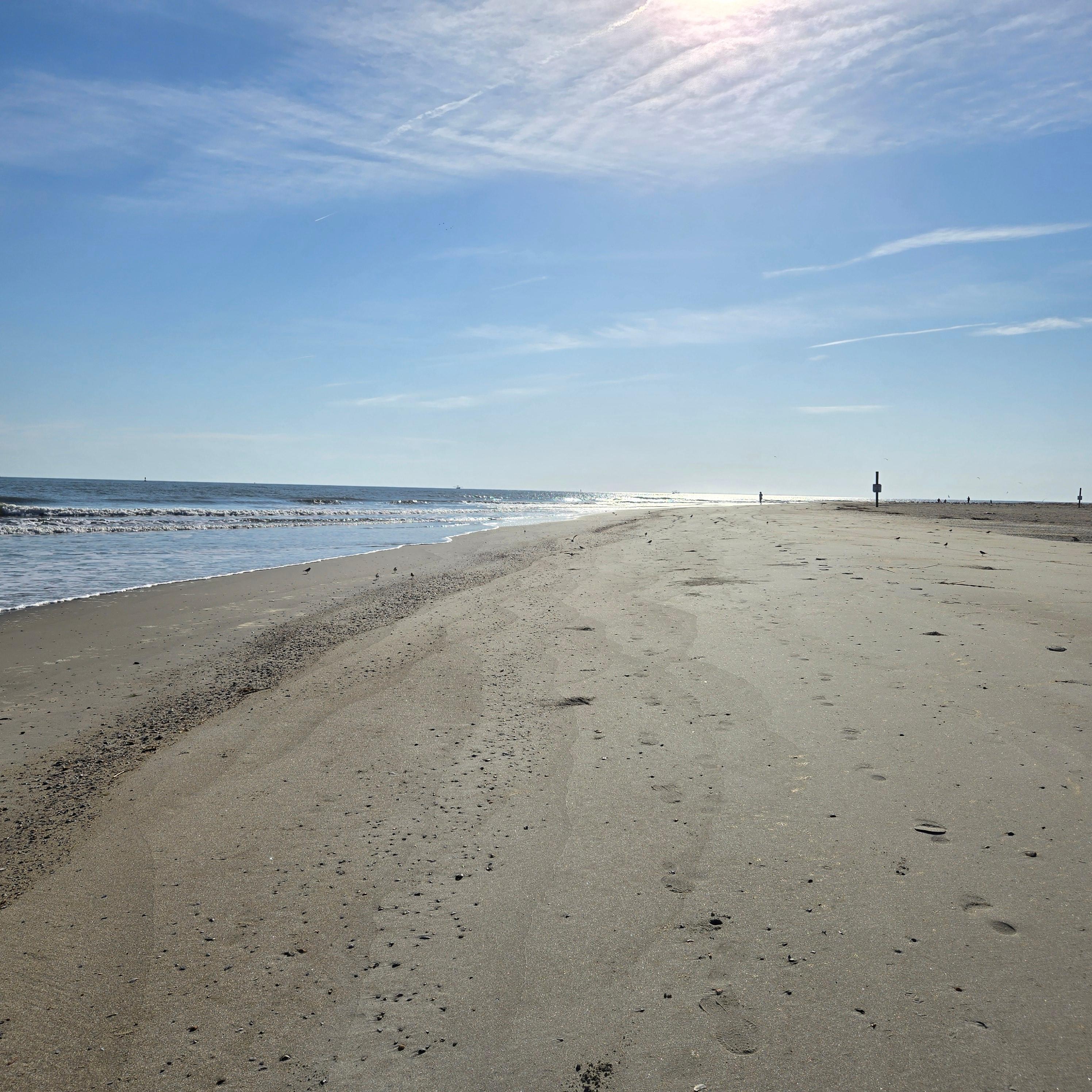 Busy morning on the beach