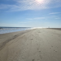 Busy morning on the beach