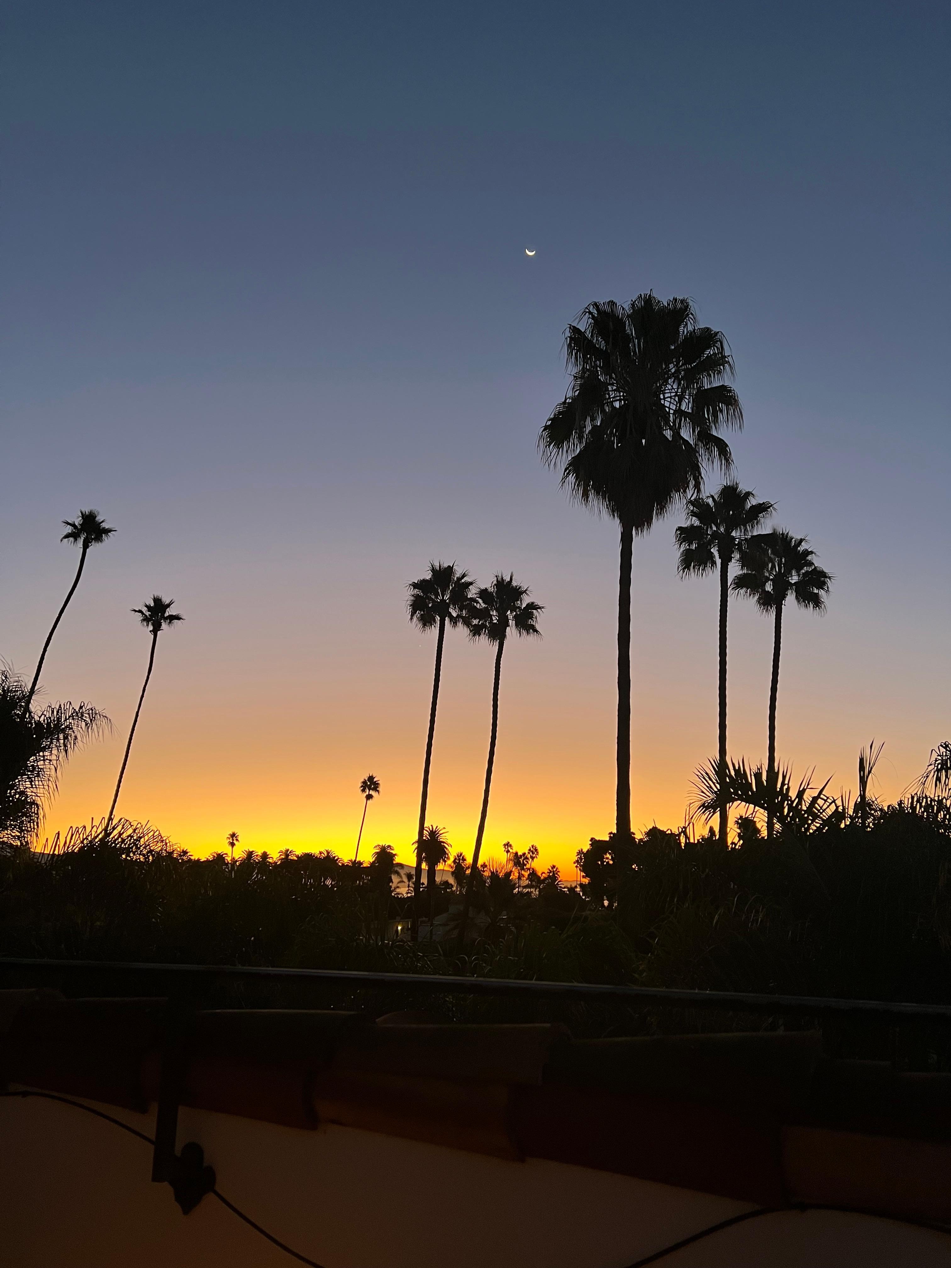 Sunrise from the upper deck. Picture doesn’t do it justice. Can also see the water through the trees.