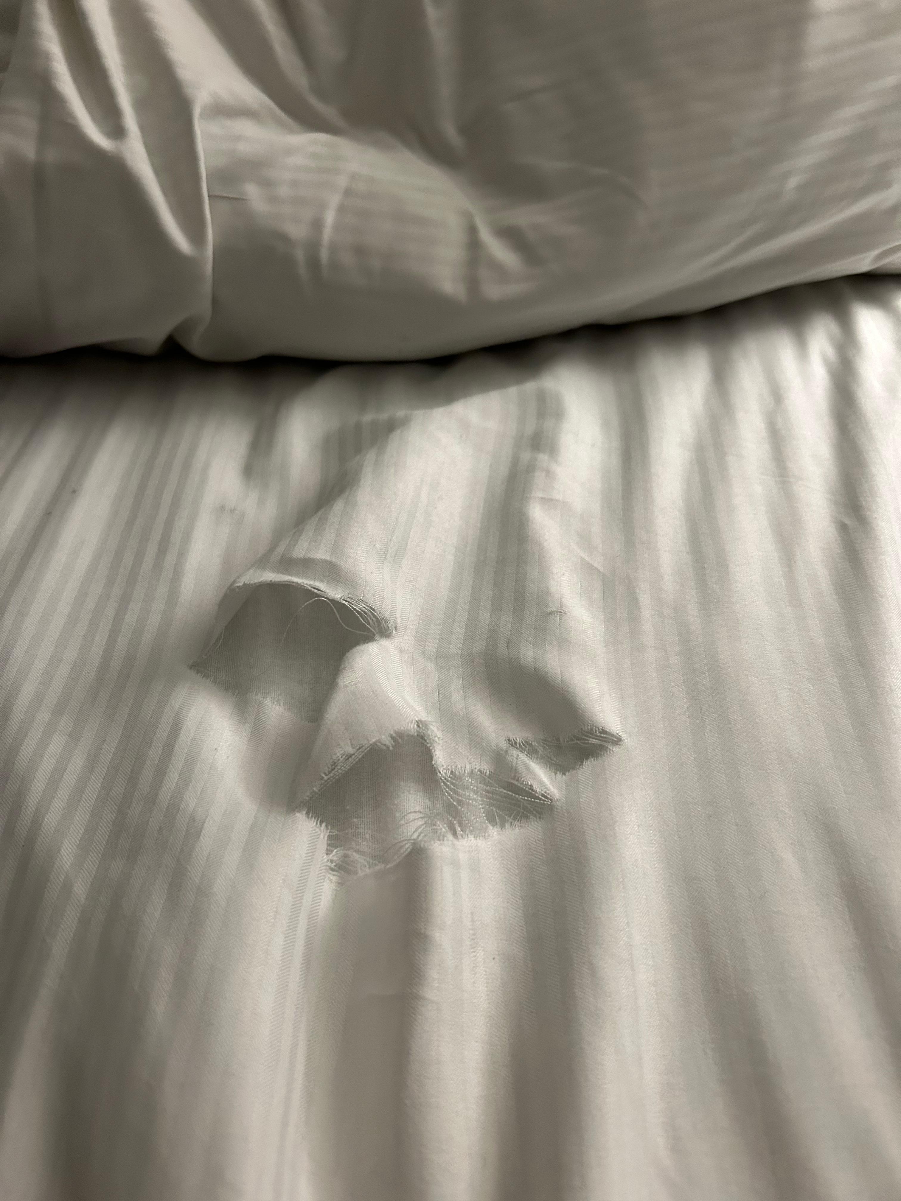 The  bed was made with sheets that were torn all the way down , upon check in . 