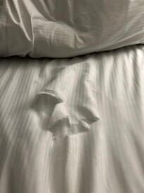 The bed was made with sheets that were torn all the way down , upon check in .