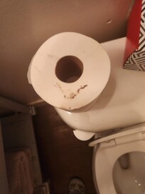 dirty toilet paper left for our use
