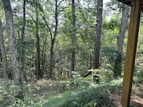 Surrounded by nature...