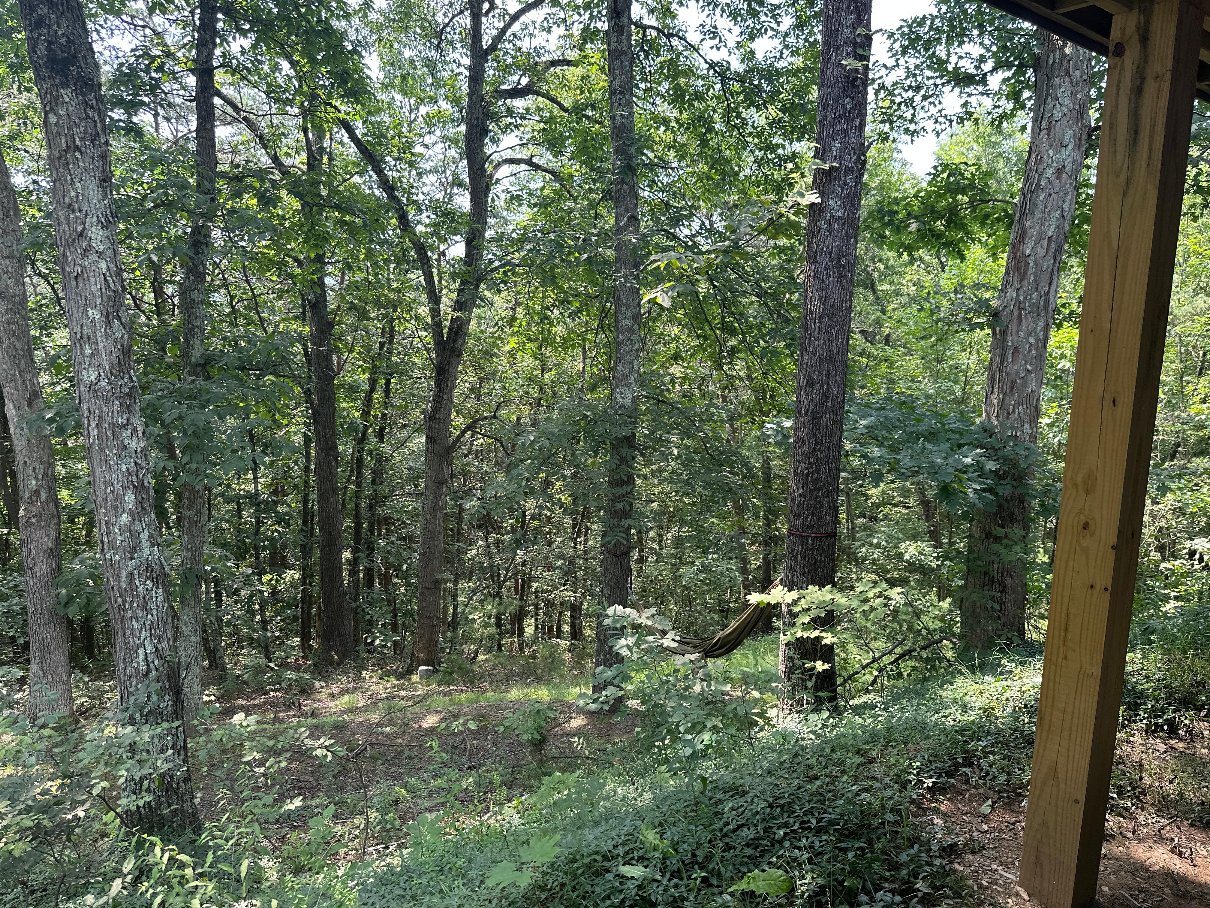 Surrounded by nature...
