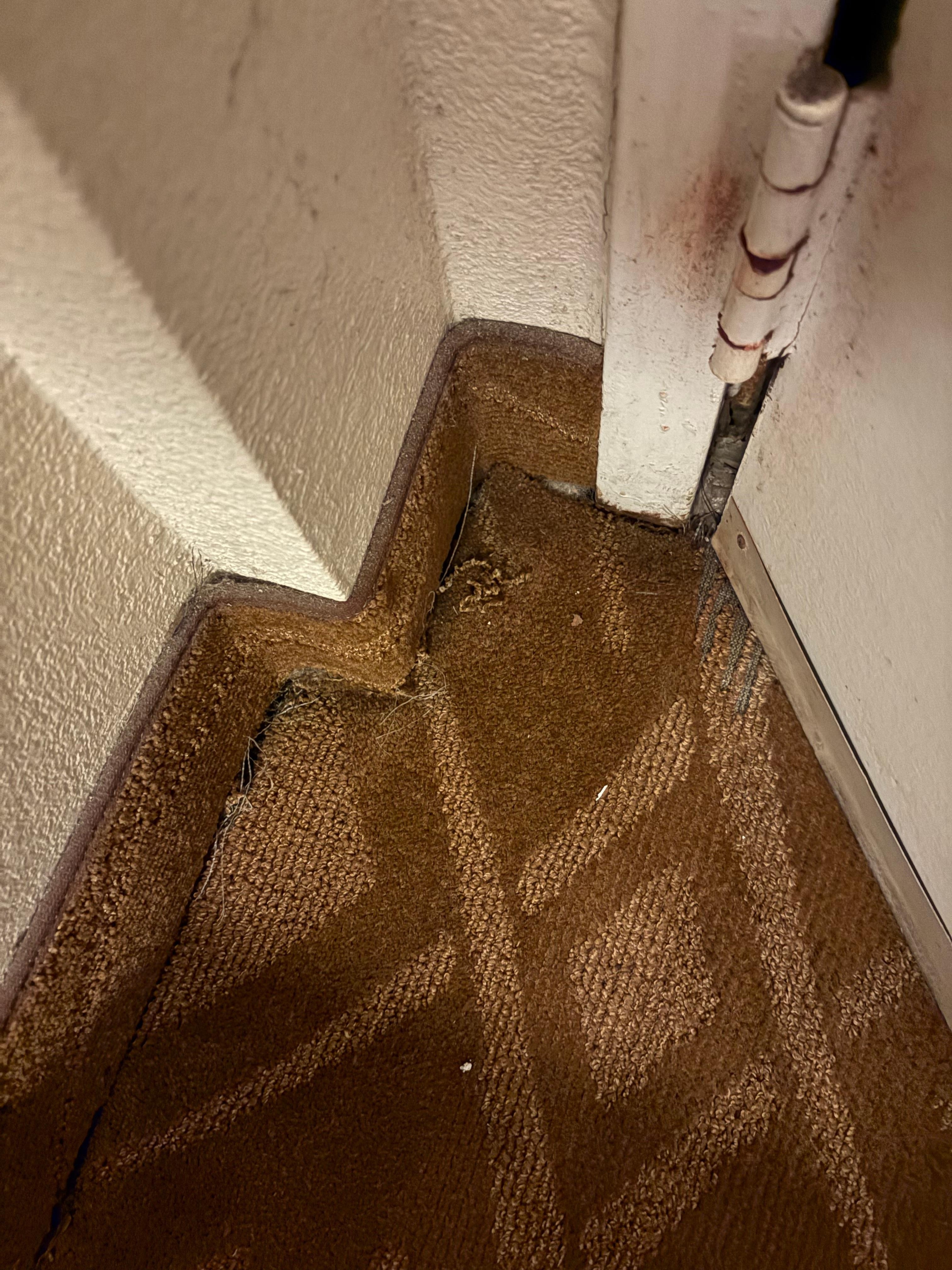 Dirty carpet