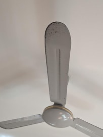 all fans were similar