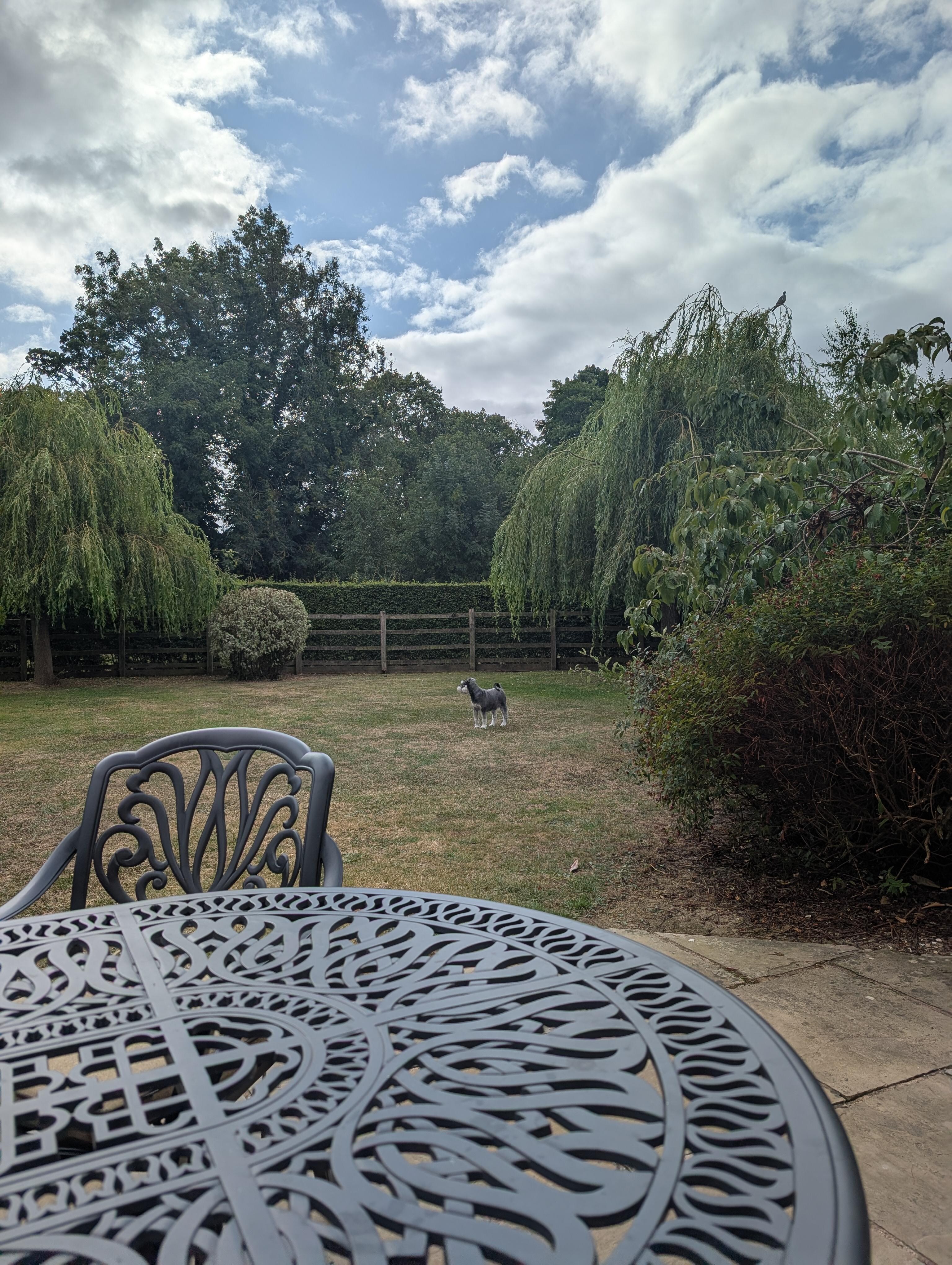 Fully enclosed garden 