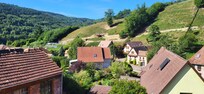 Blick aus dem Fenster im Essbereich