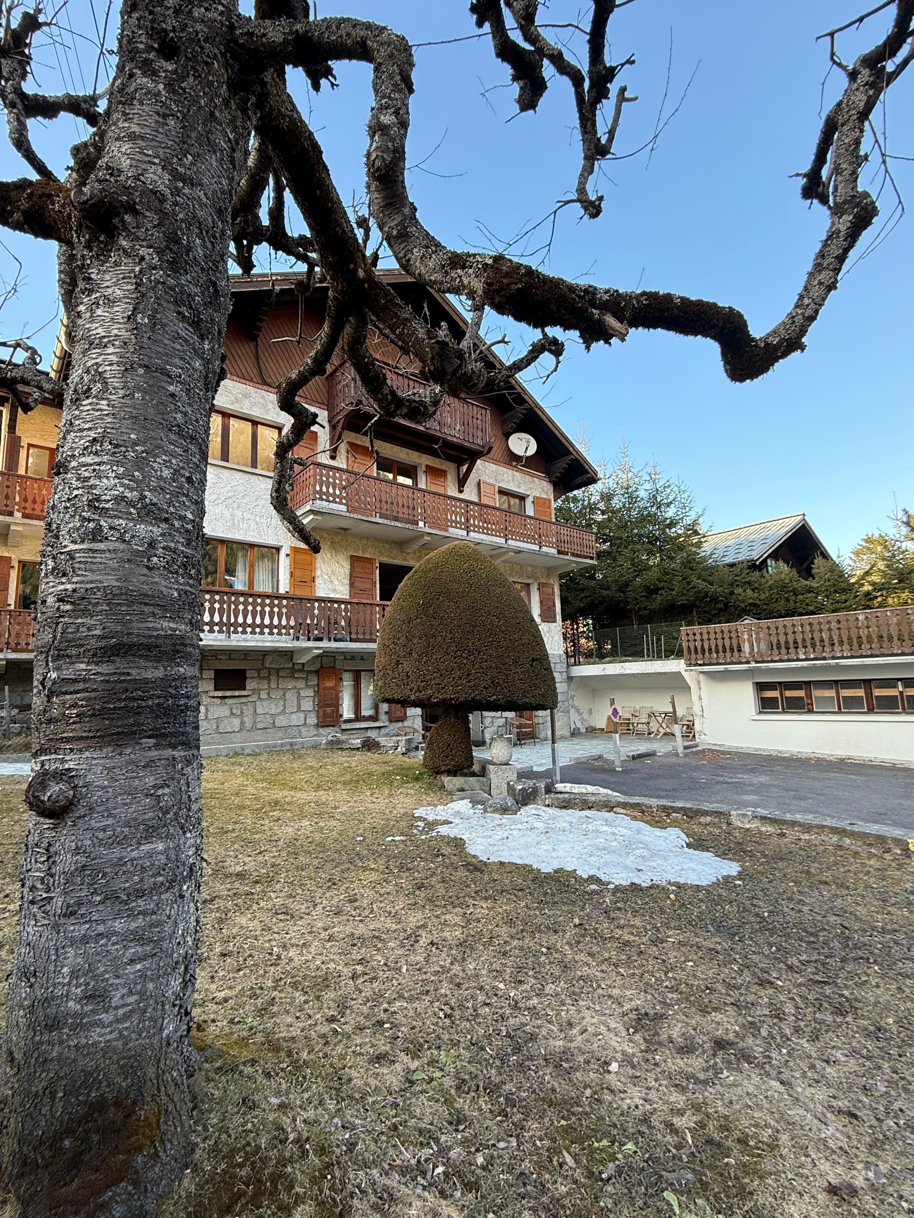 View of property from the yard 