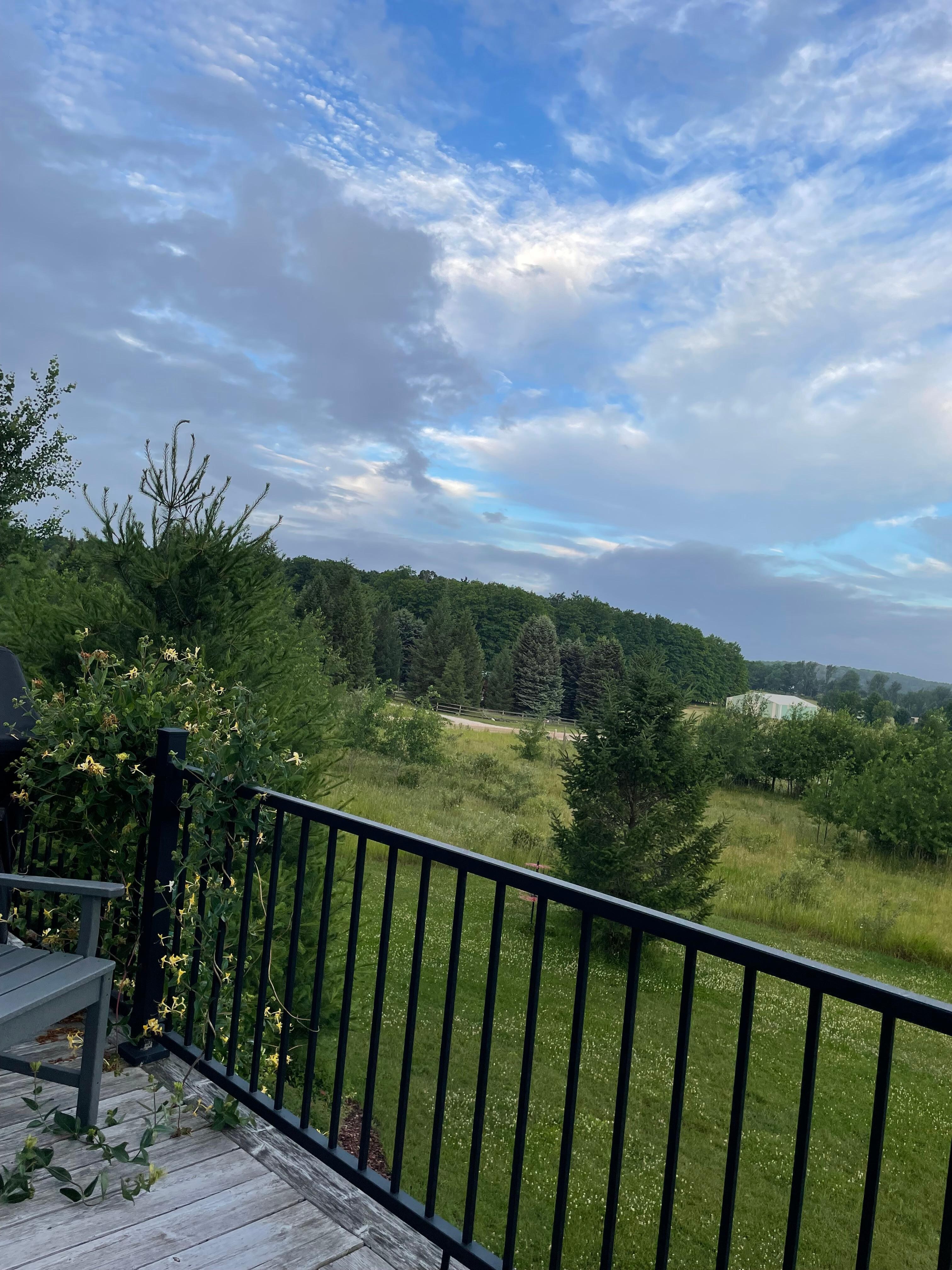 View off the back deck. 