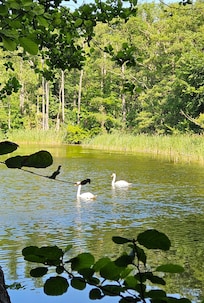 auf dem Weg von Zarrentin nach Salem
