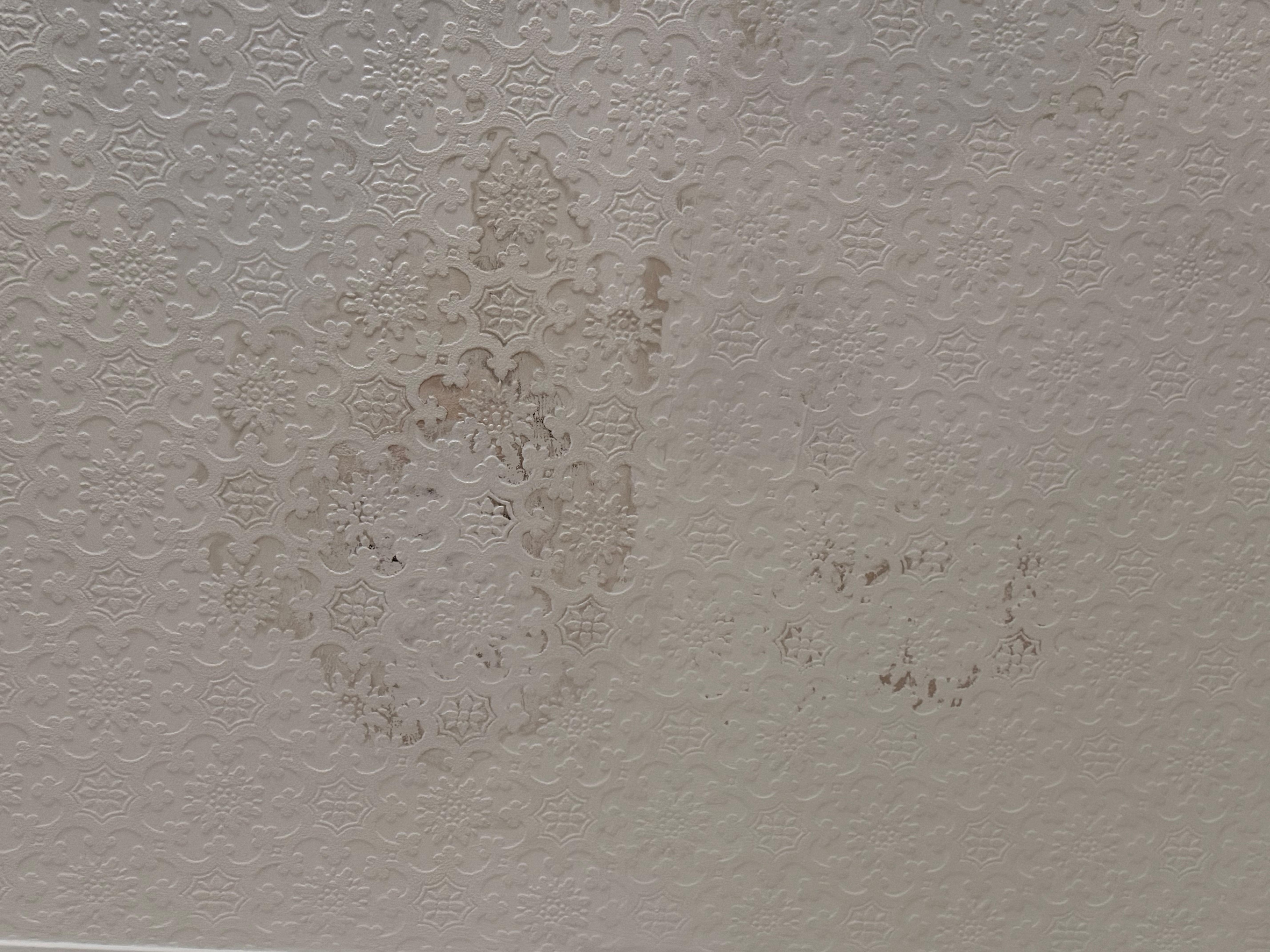 Water marked ceiling 