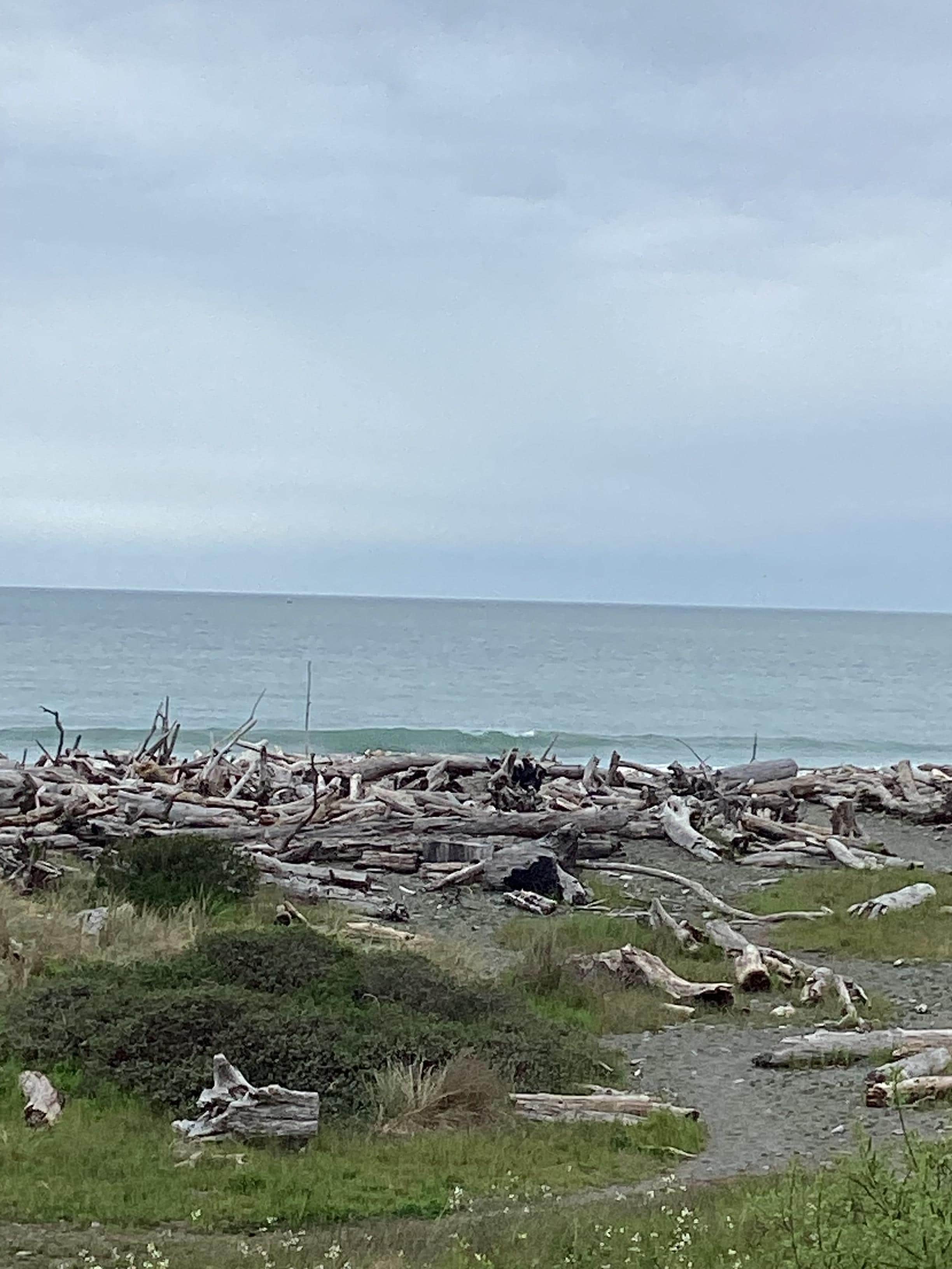 View from my balcony 