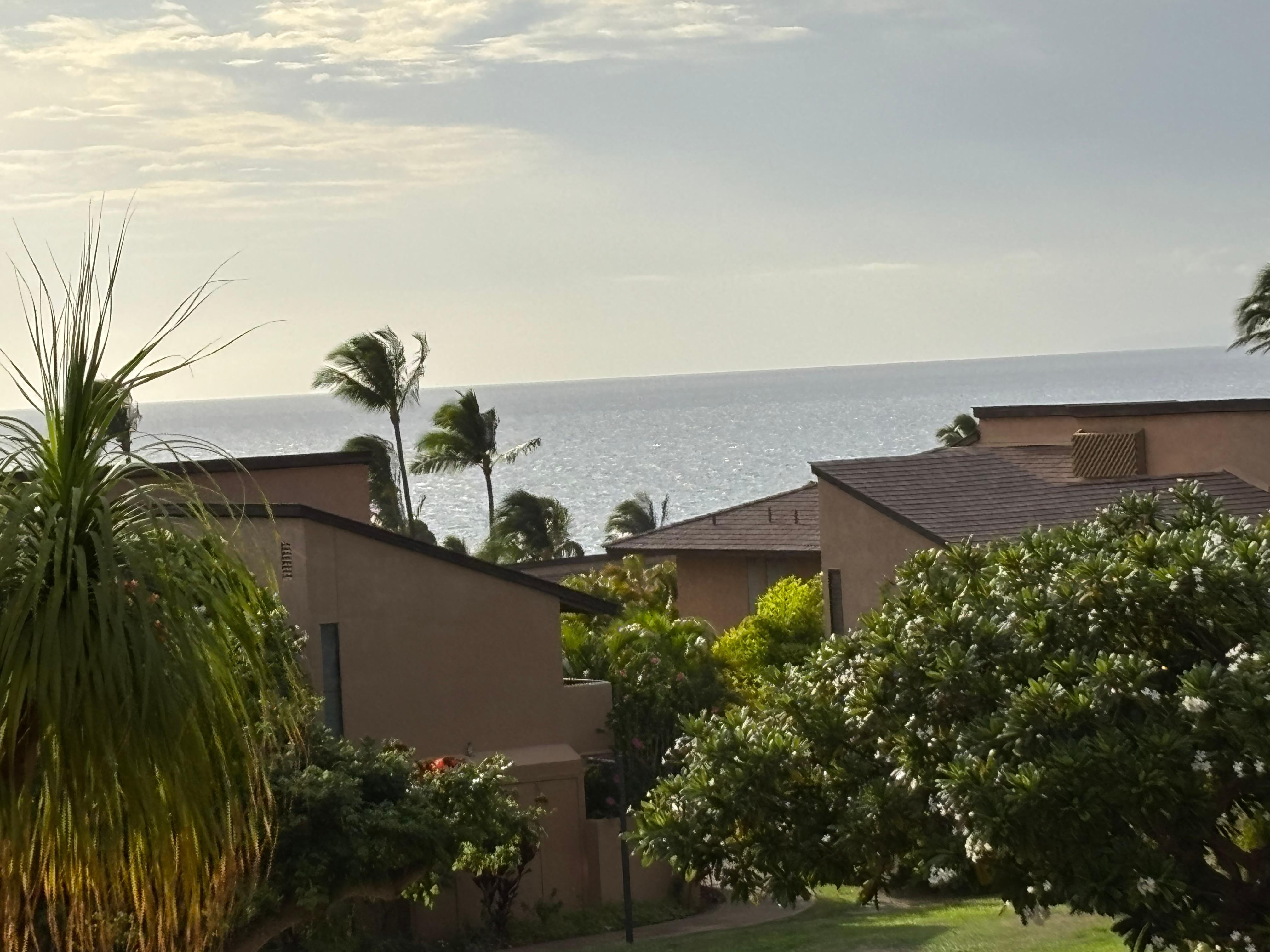 View from grass area near unit