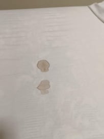 Sujo de sangue de menstruação