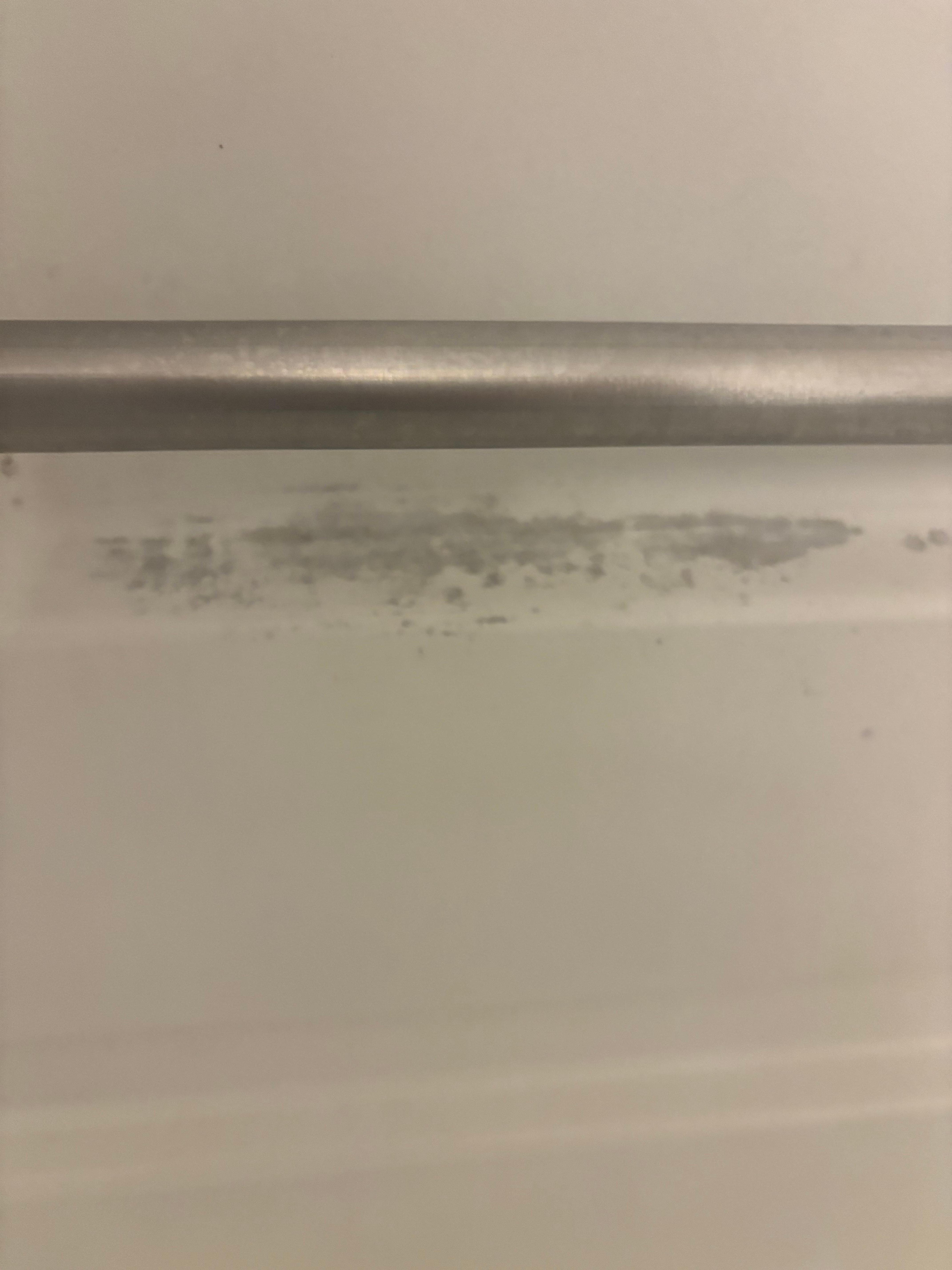 Appears to be mold in bathtub/shower