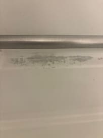 Appears to be mold in bathtub/shower
