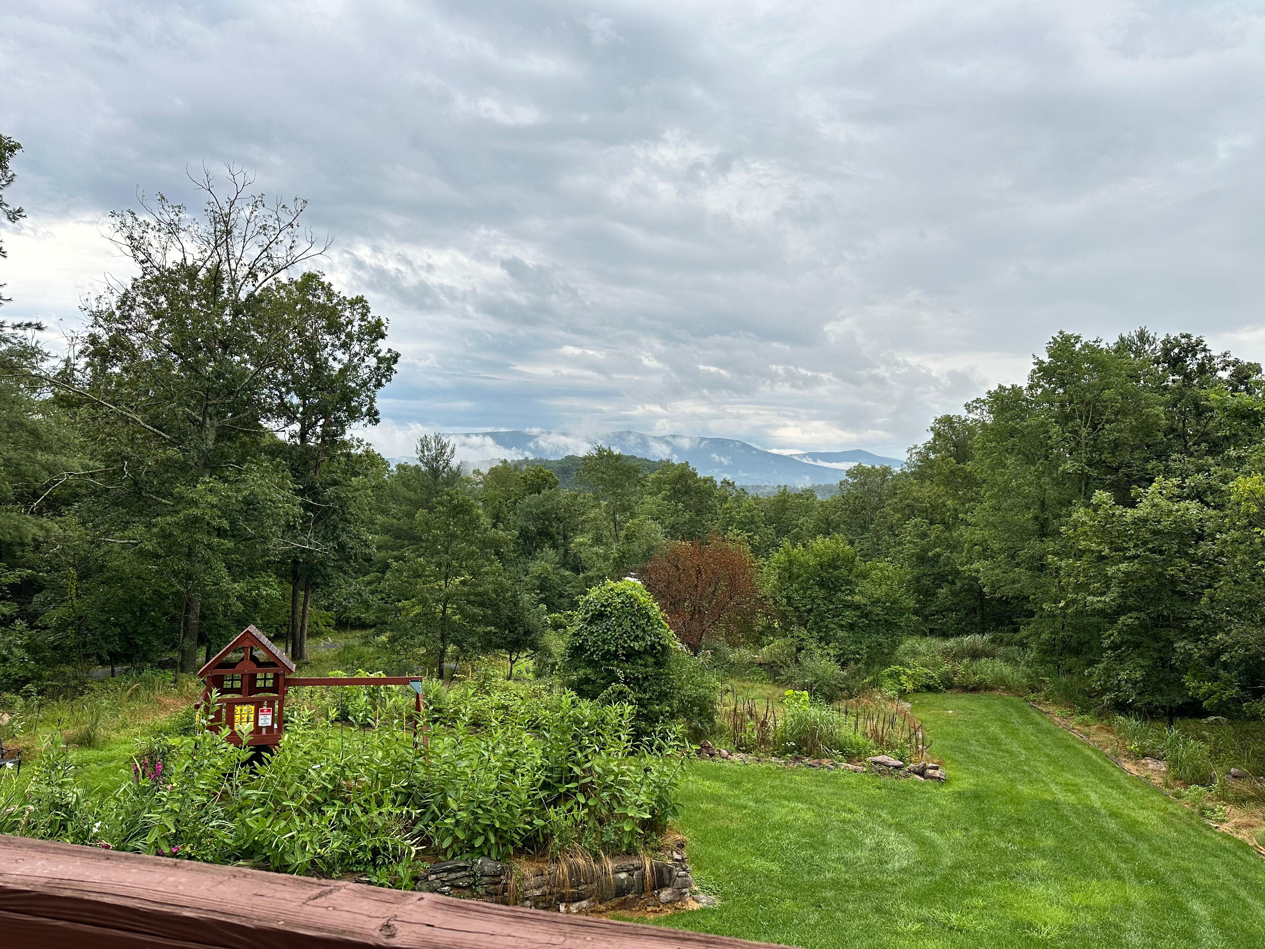 View from the back deck