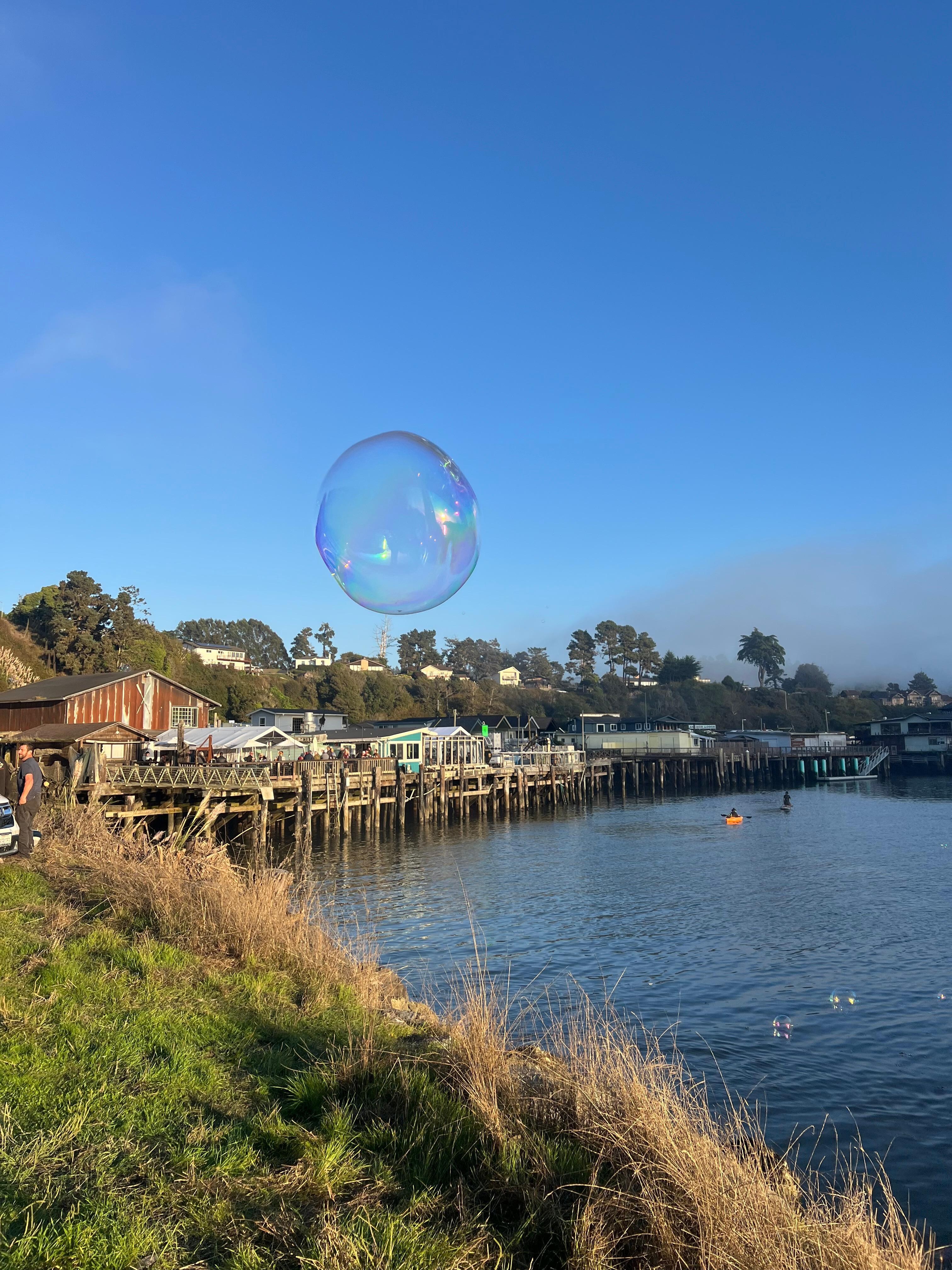 Bubbles on the Noyo 