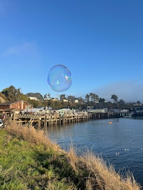 Bubbles on the Noyo