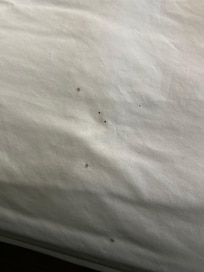 Bed sheets