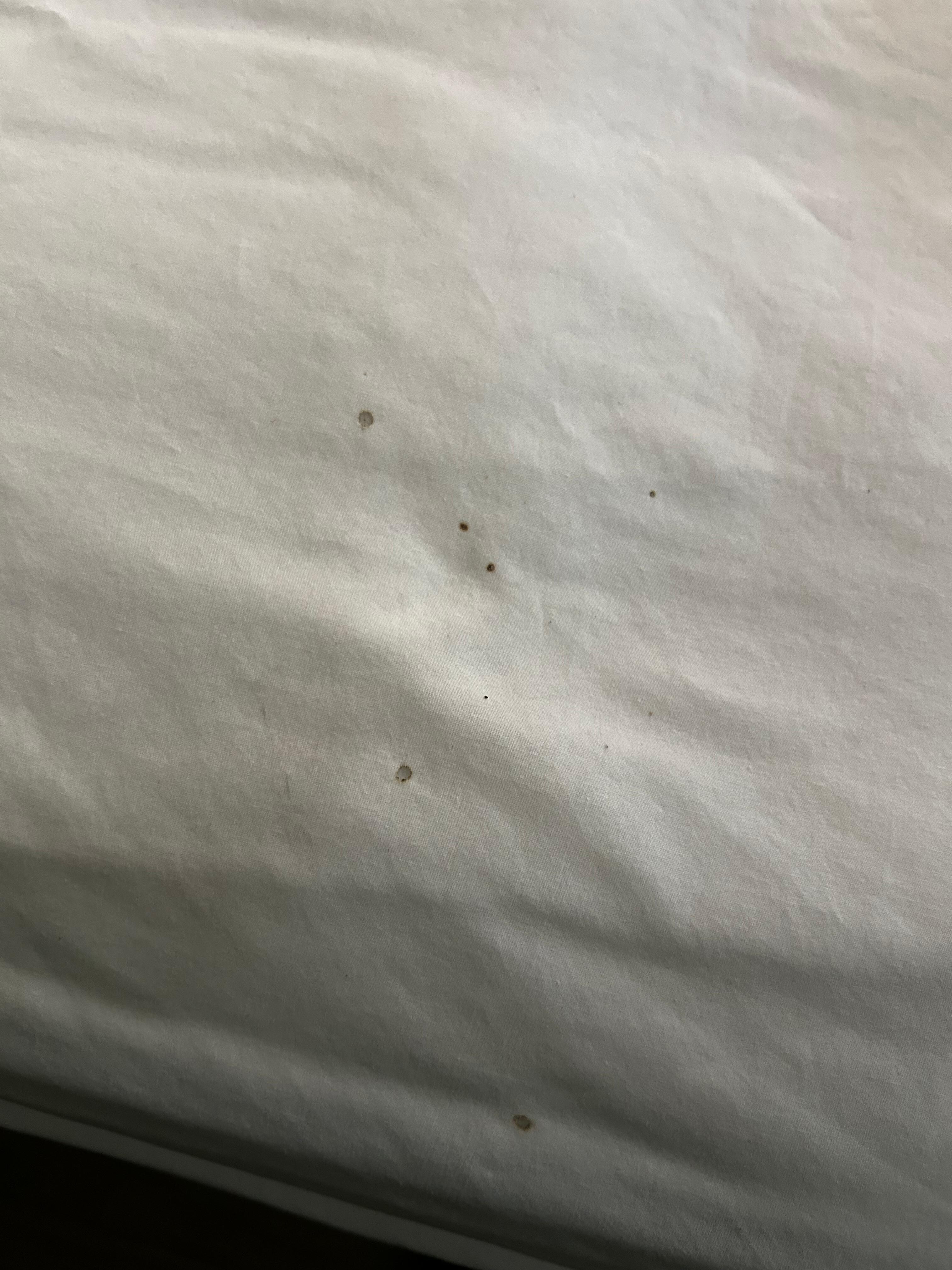 Bed sheets 