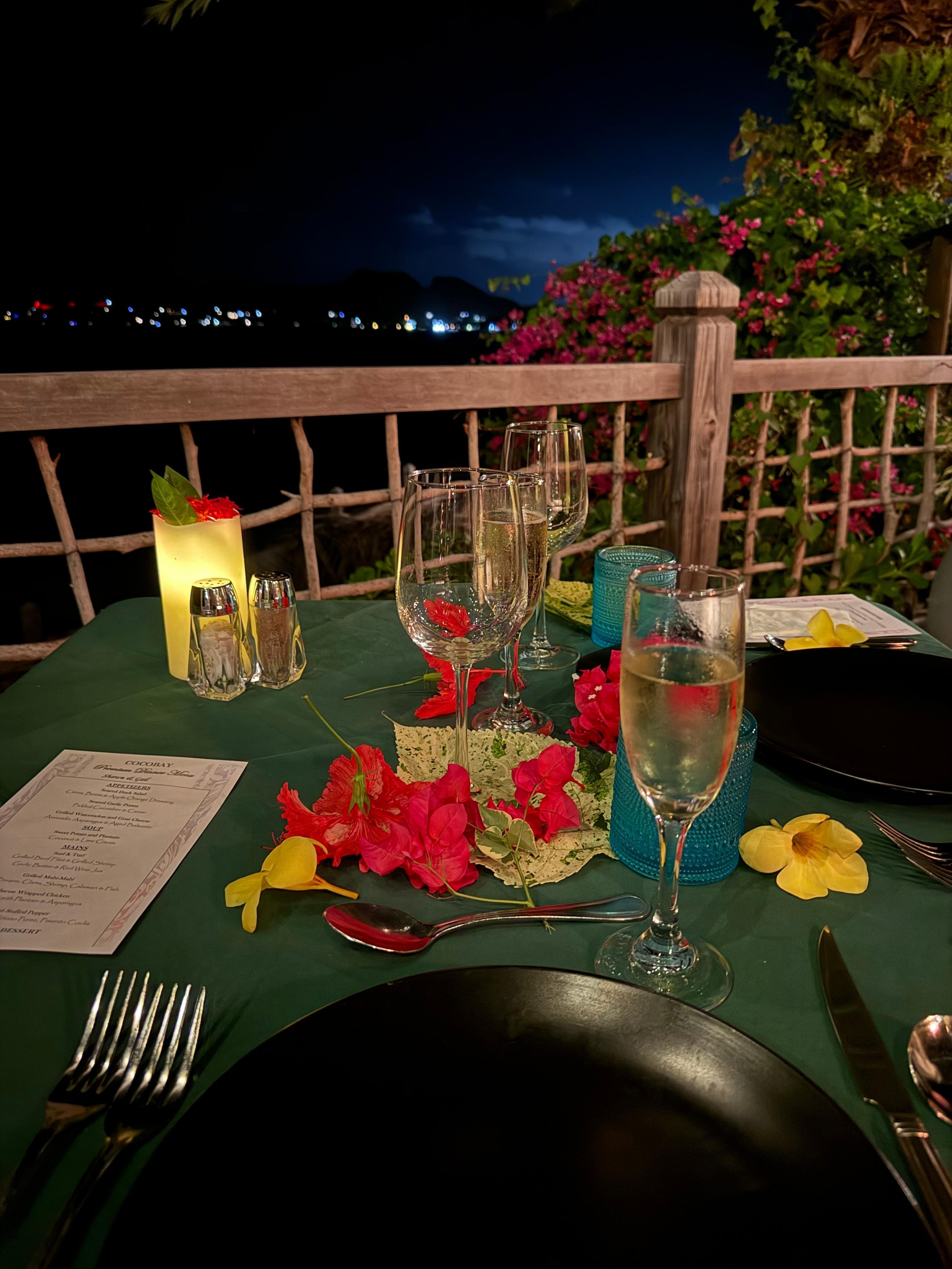 Wonderful private terrace dinner