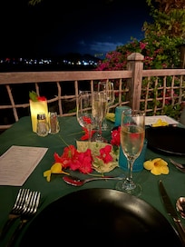 Wonderful private terrace dinner